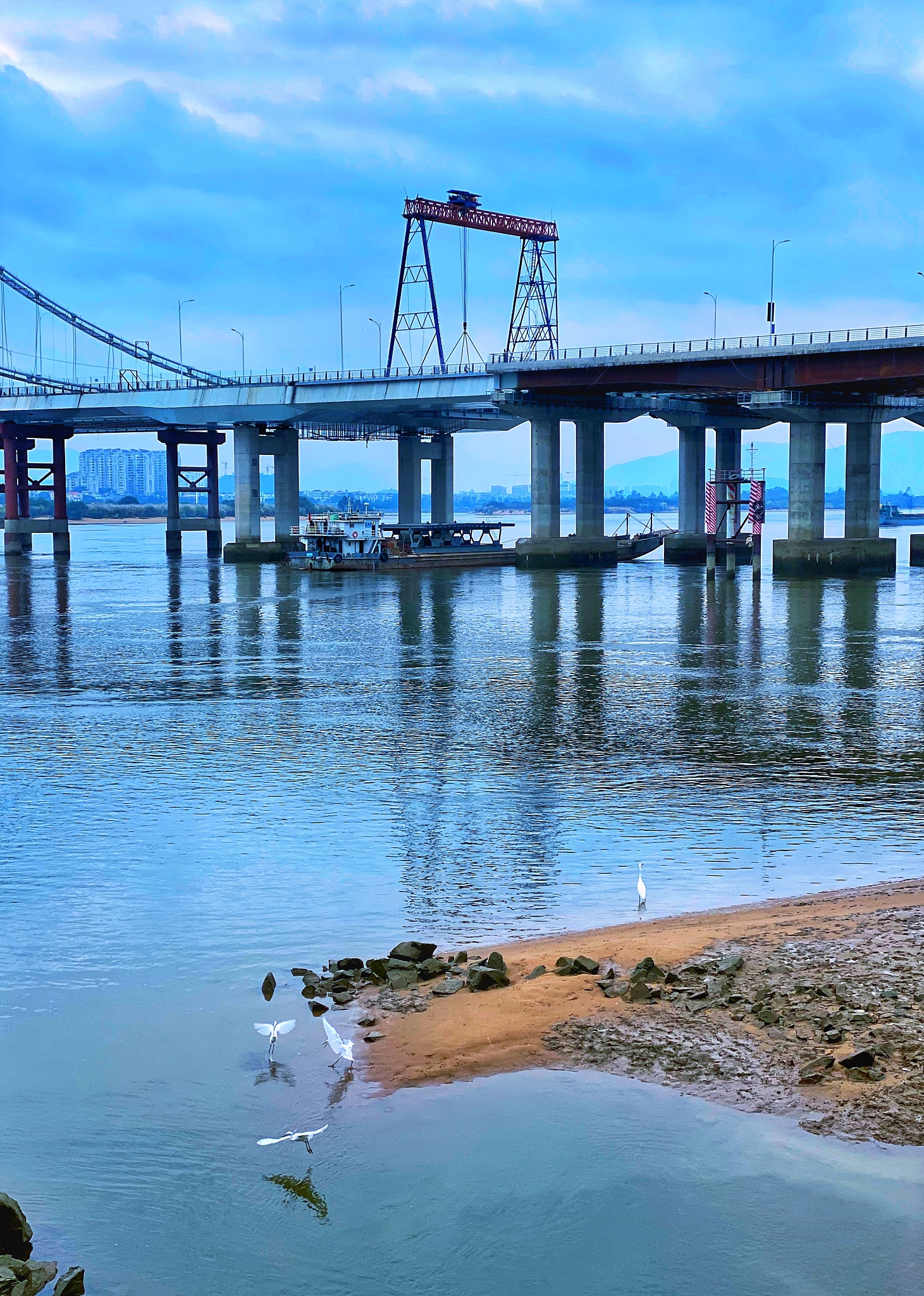 中国式现代化的本和源、根和魂：传统文化的传承与发展