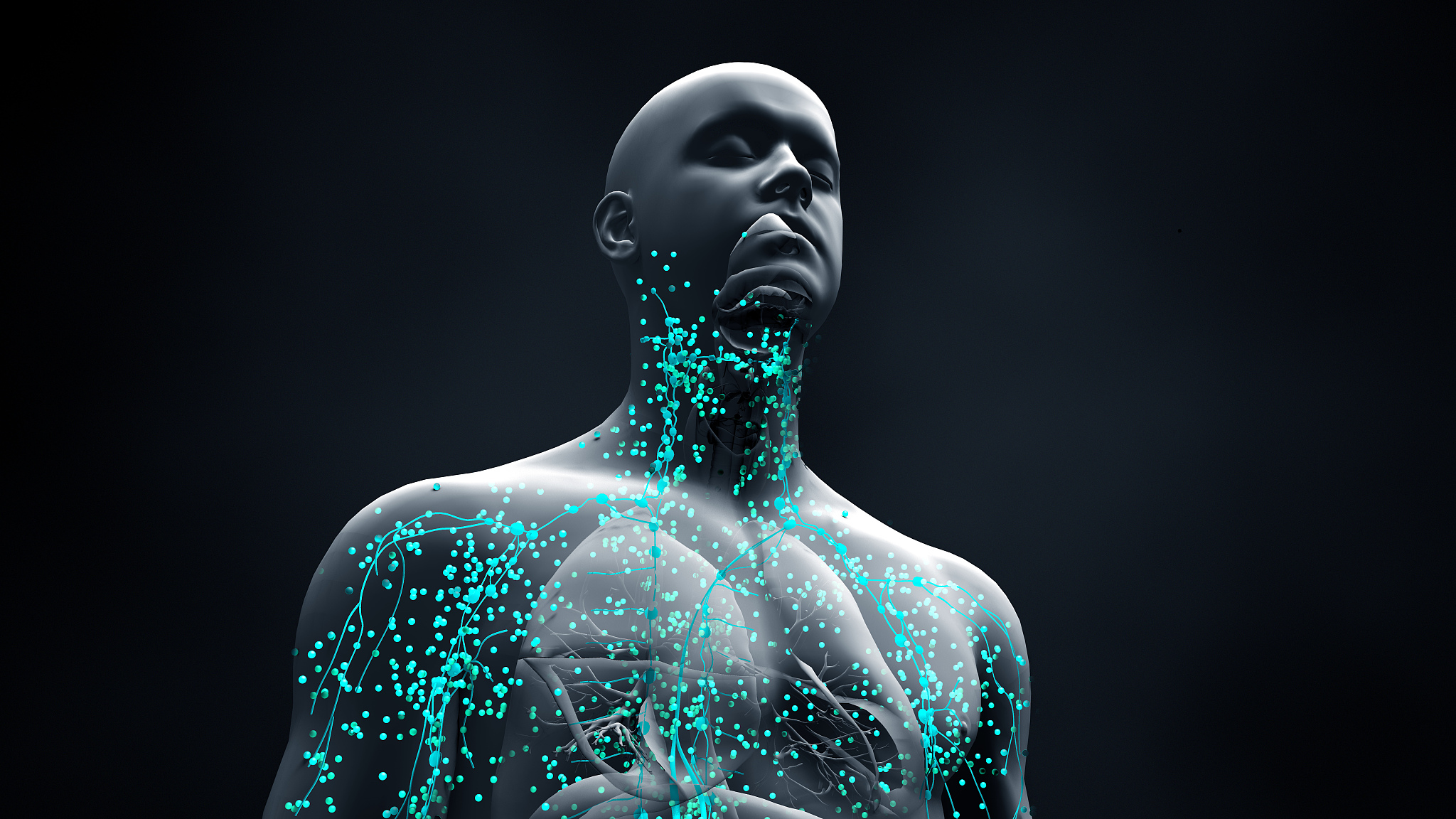 人体解剖生理学论文主题：研究方向与热门领域