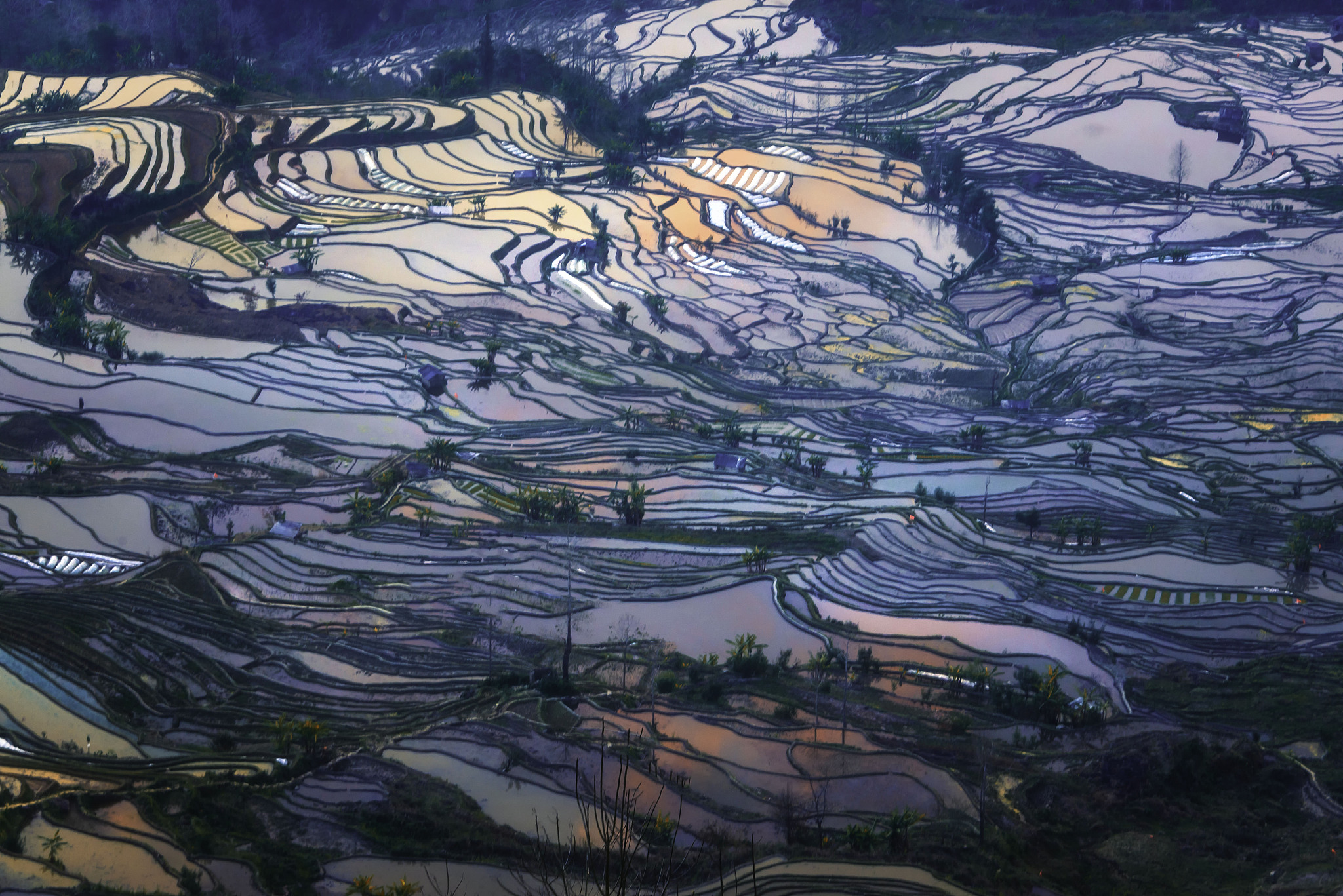 红河州农业学校建筑工程技术专业招生学制详解