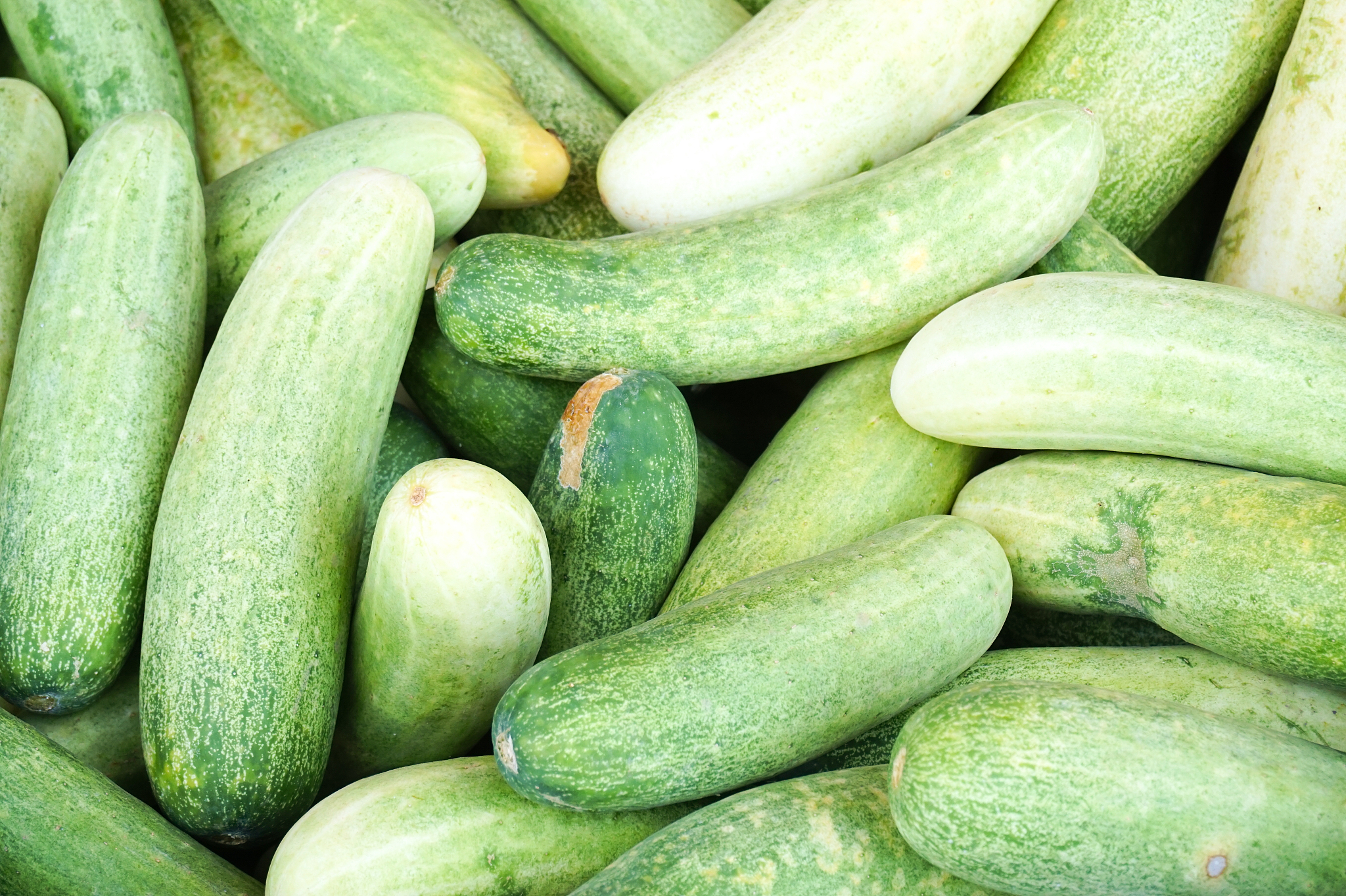 日照市农业学校招生简章 - 2020年招生简章及发展前景