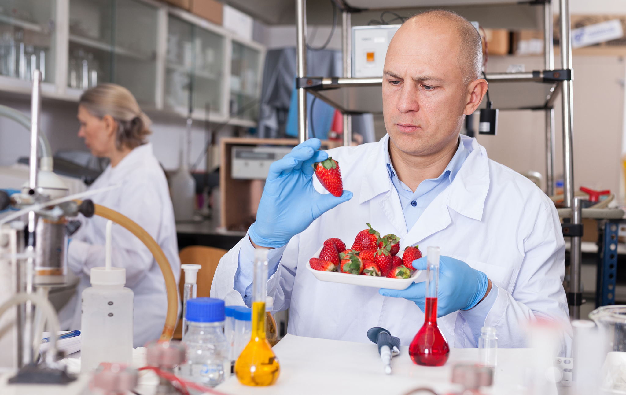Food and Bioprocess Technology期刊的介绍？