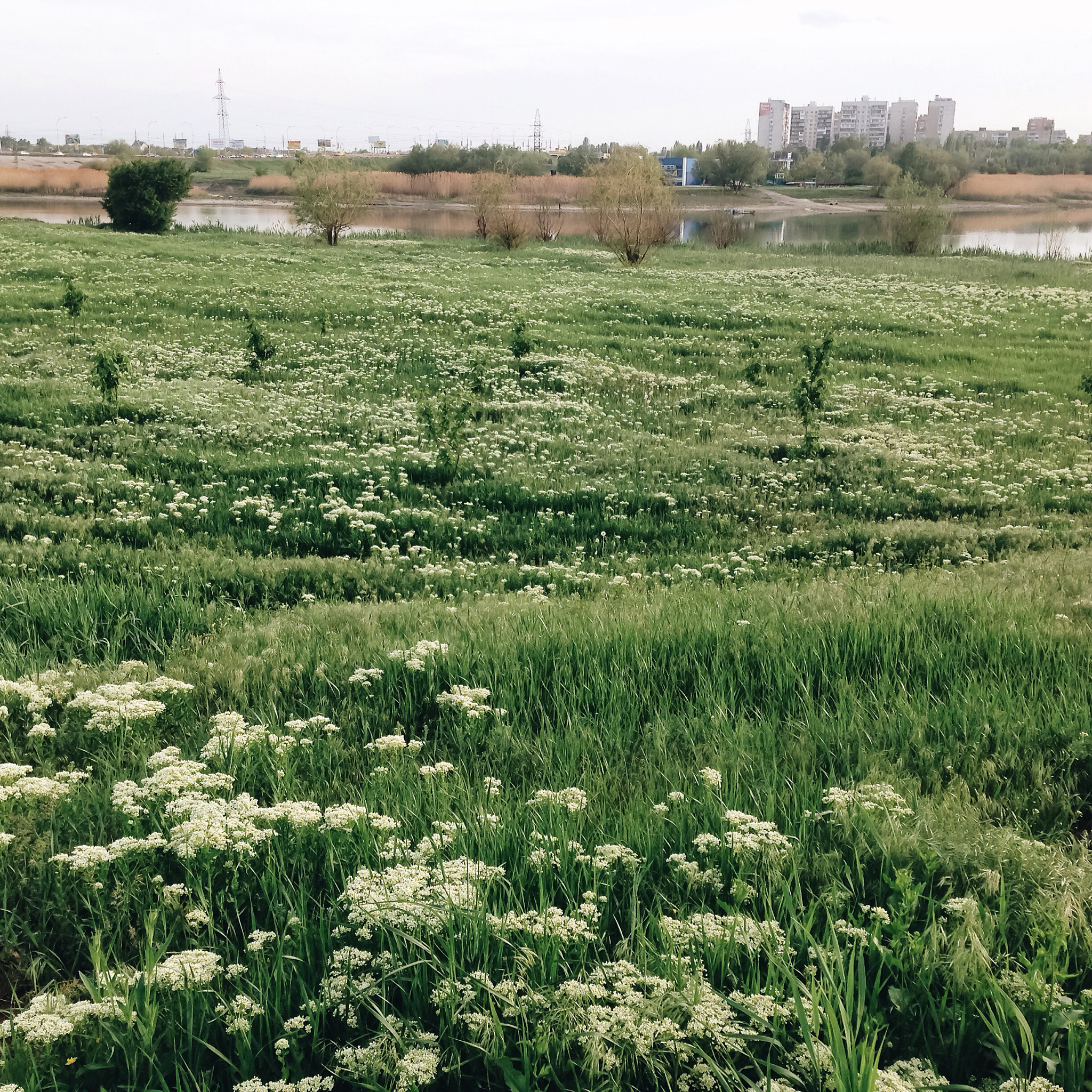 吉林植物保护专业就业前景分析：毕业后可以做什么？