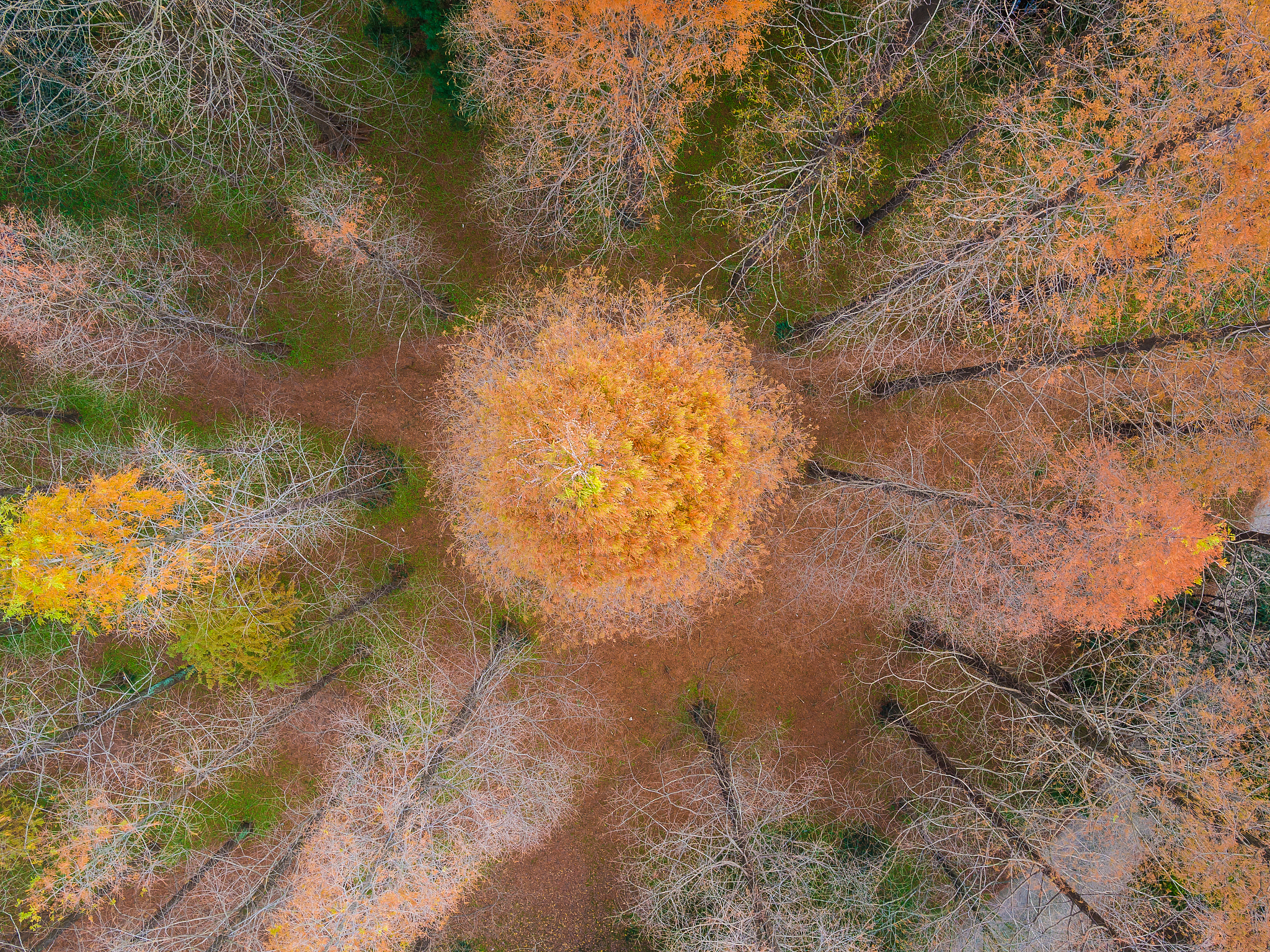 马鞍山拖欠工资怎么办？维权电话及投诉平台全解析！