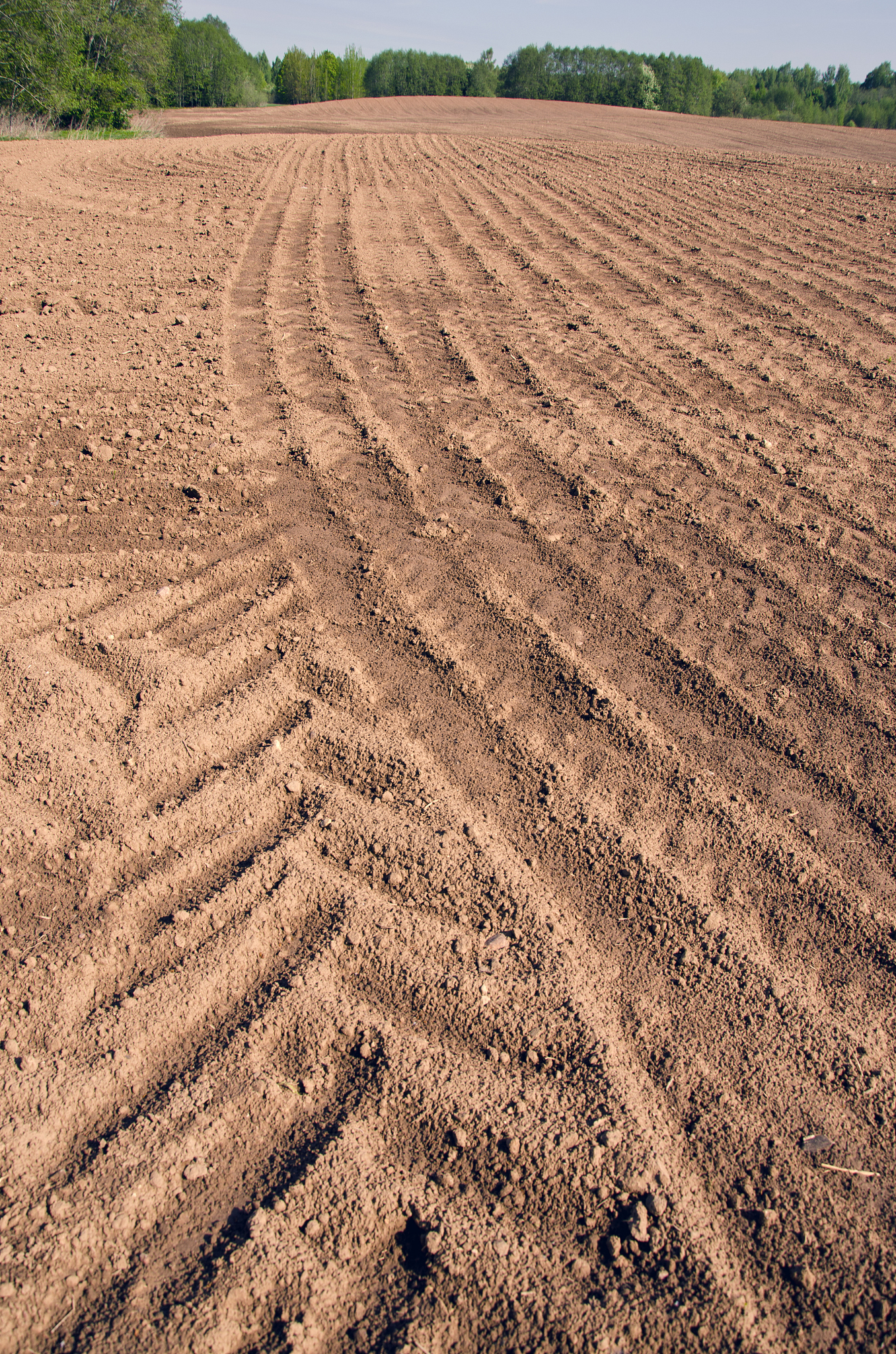 久旱缺雨时下雨对庄稼生长有好处，