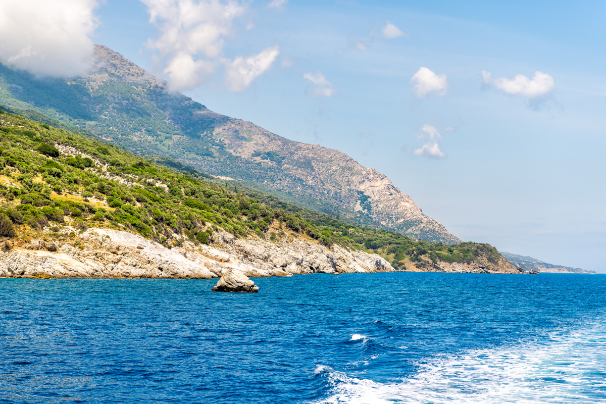 日狗：日本神话中的神秘生物