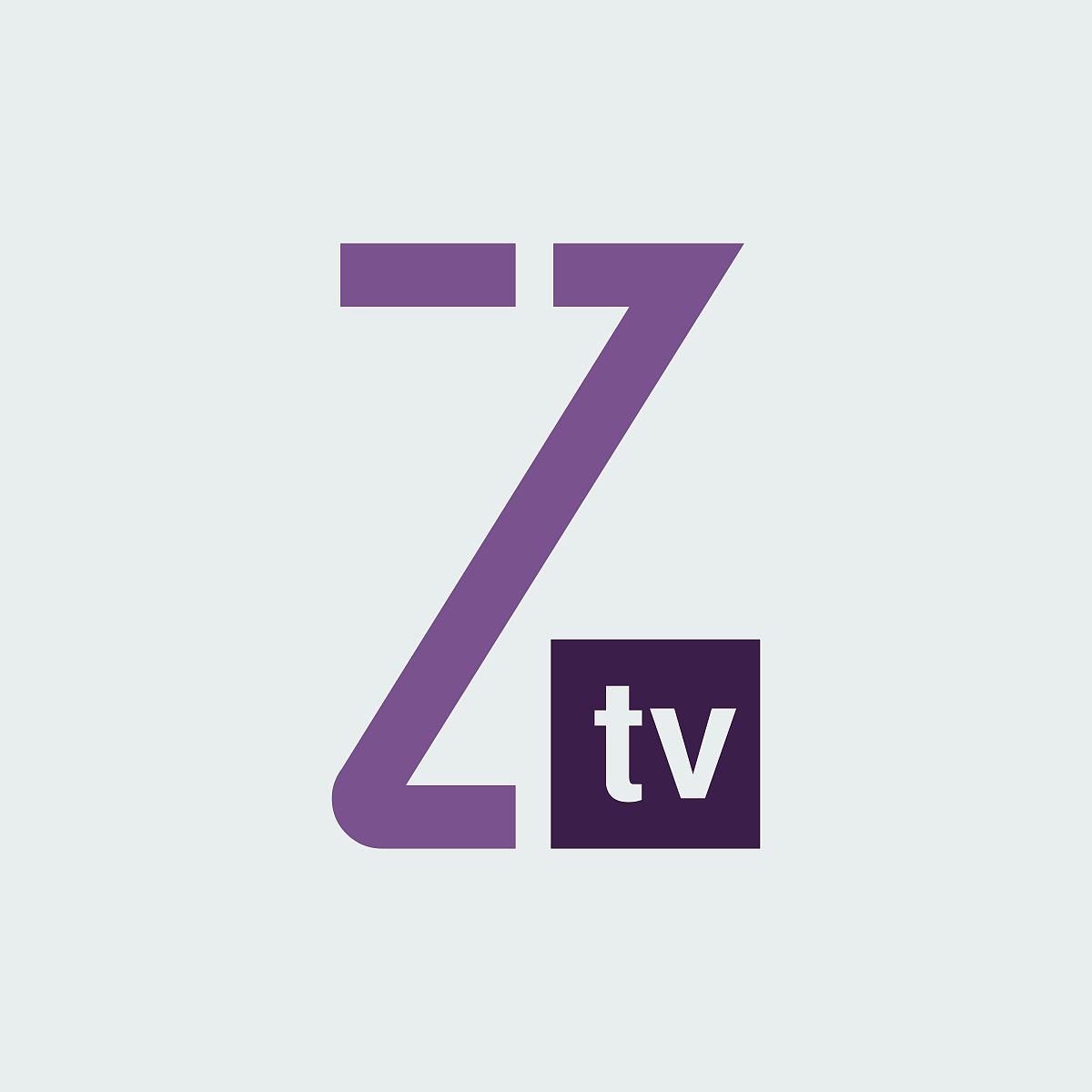 z电视字母概念电视标志.z电视字母标志标志矢量插图.