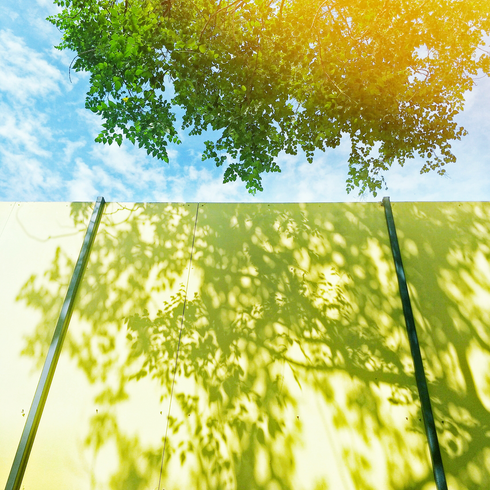 写一首古代散文要求针对春夏交替为主题要押韵