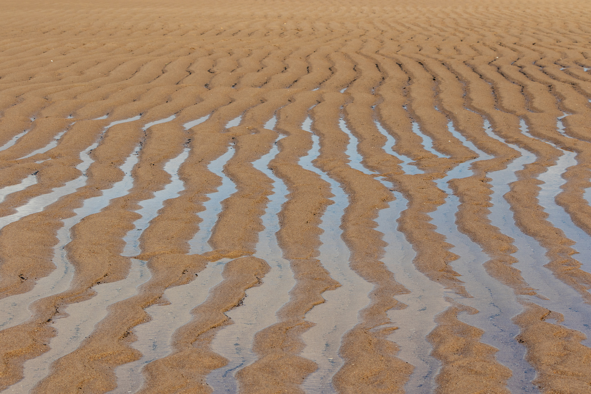sandy rippled textured pattern created by low tide. abstract bac