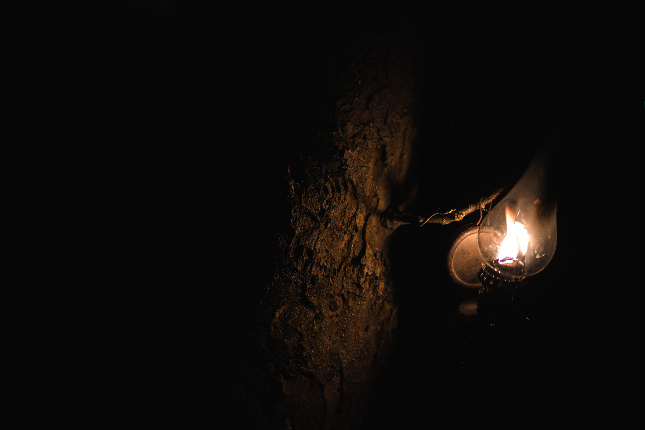gas lamp hanging on tree