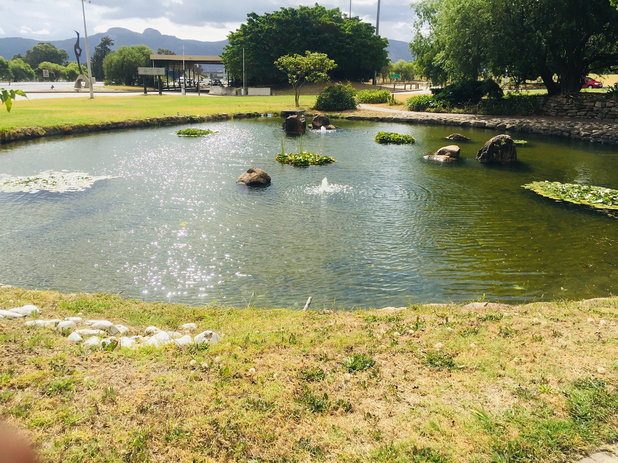 Pond Netting: Protect Your Pond & Fish from Debris, Predators & More
