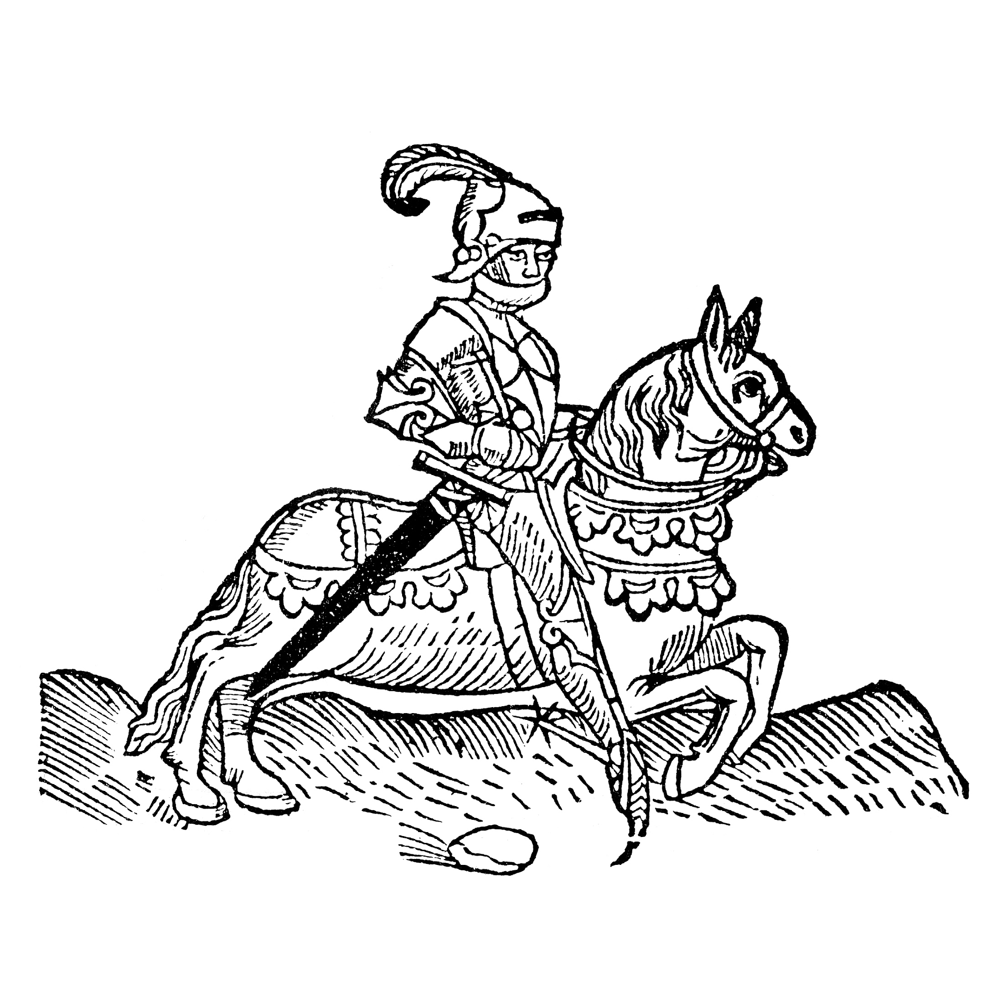 the knight