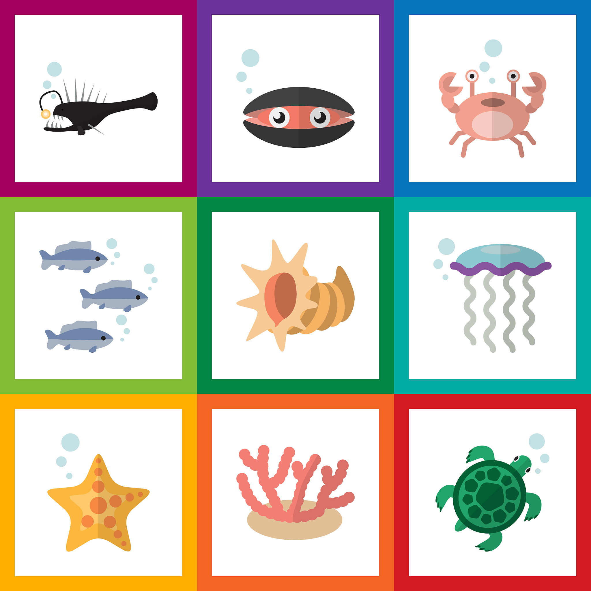 荣格牌螺旋藻片的成分是什么？