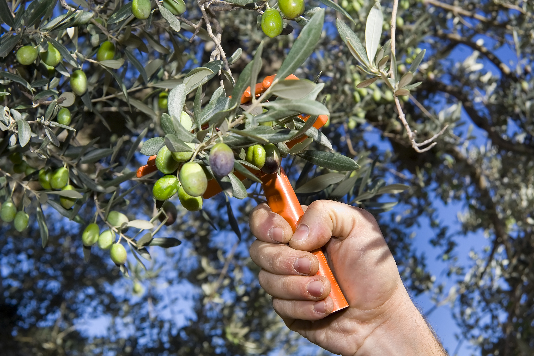 小红书笔记选题库：亲子旅行主题