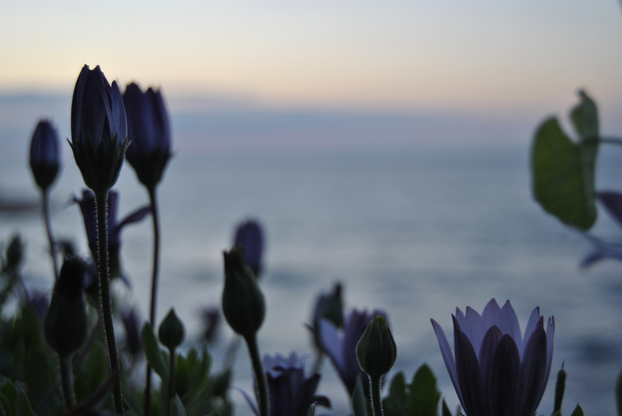 请以《与平凡相伴》为题写一篇650字的文章。