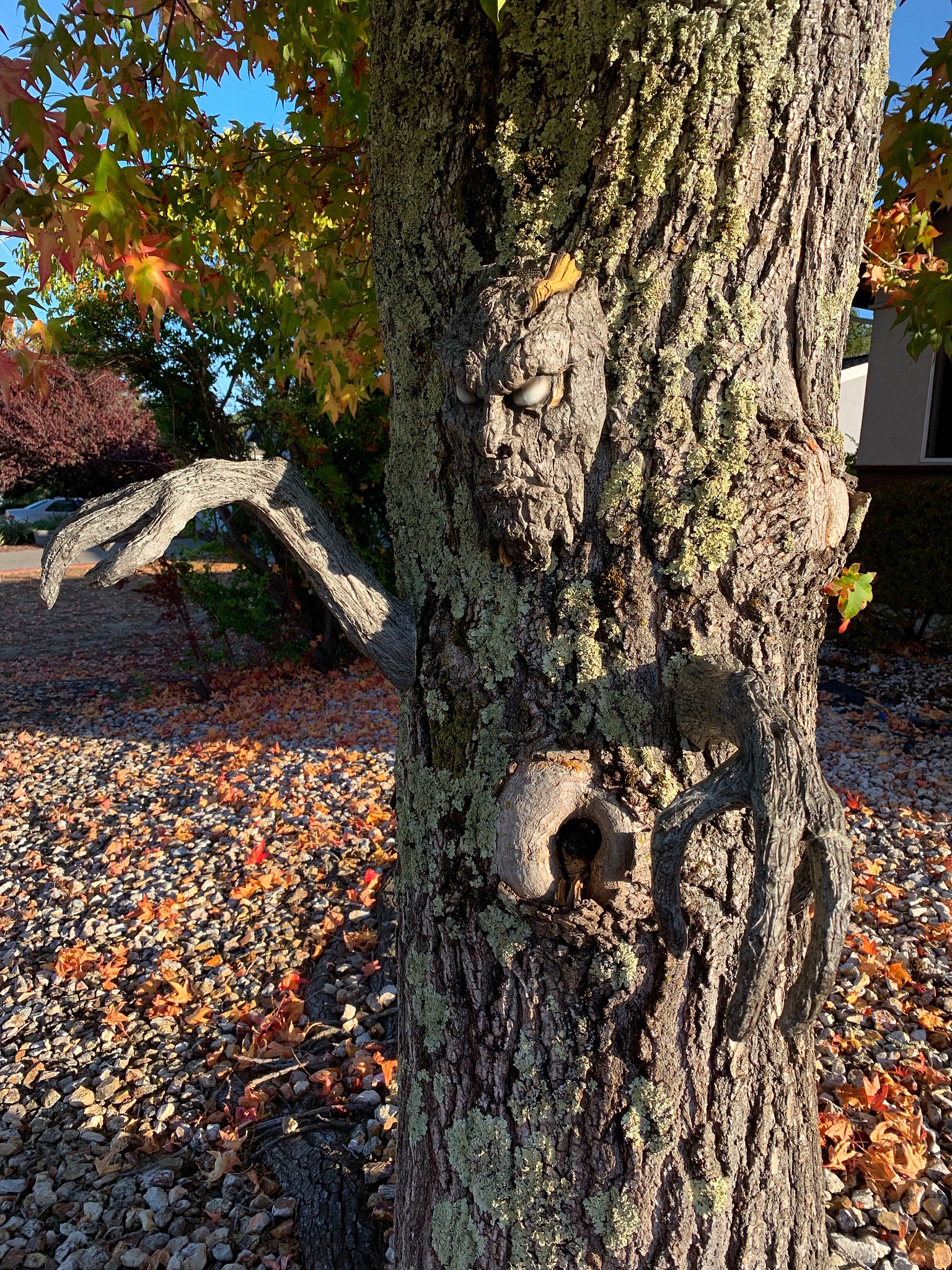 日本什么民俗怪谈