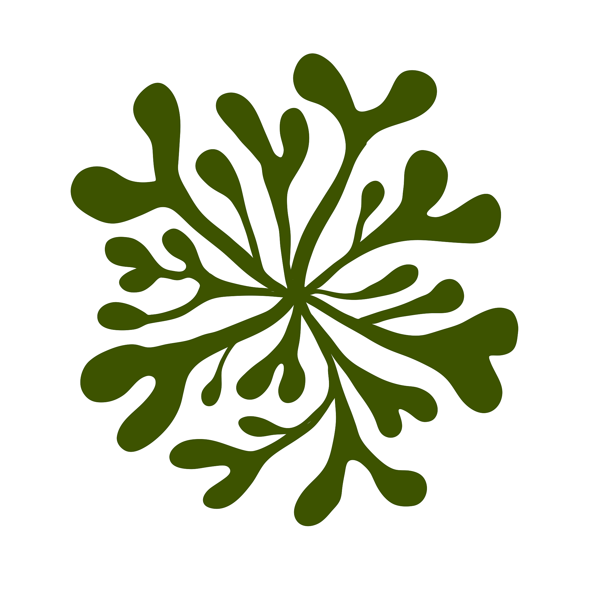 seeweed ulva green algae