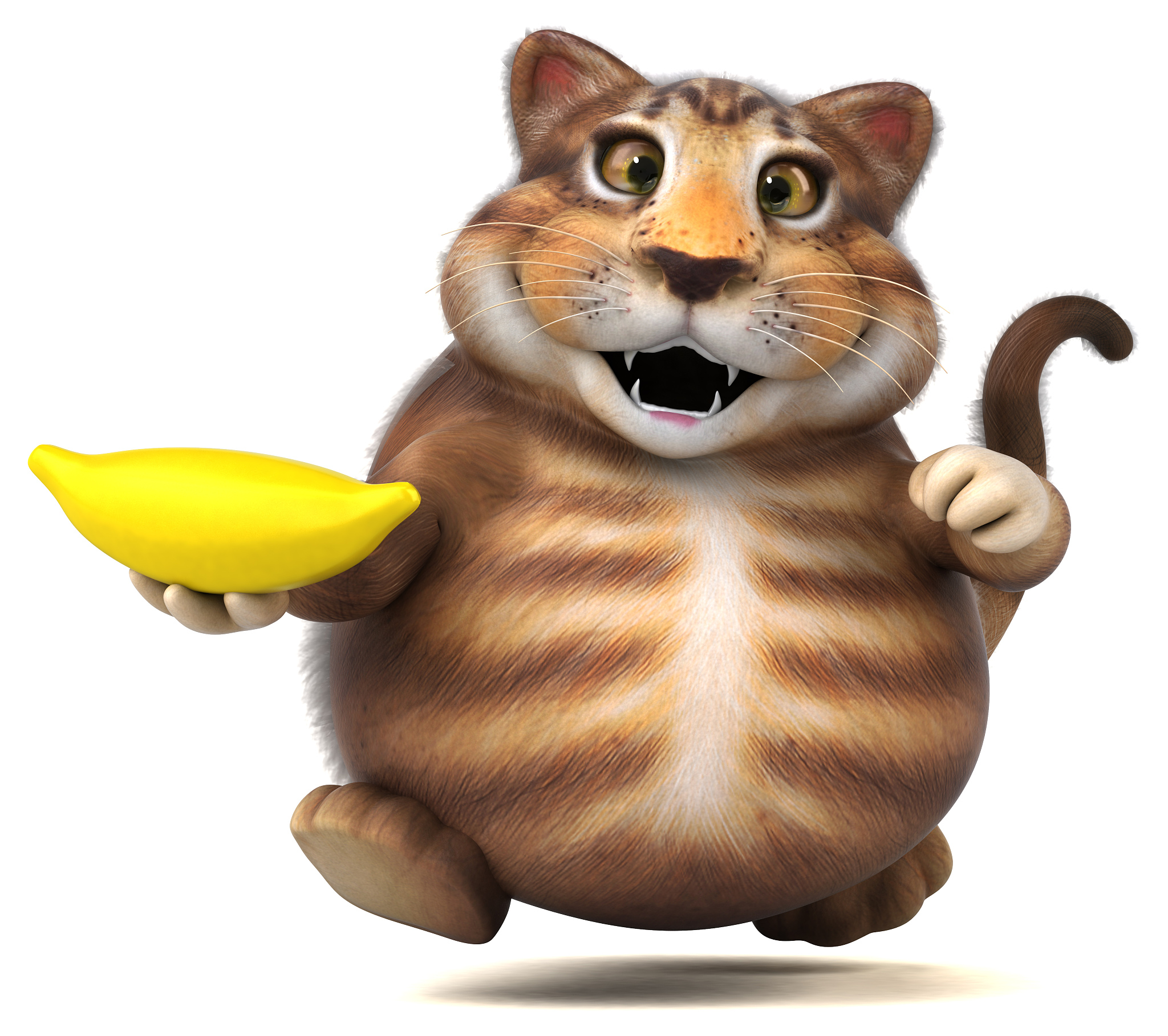 香蕉猫：可爱猫咪吃香蕉的趣事