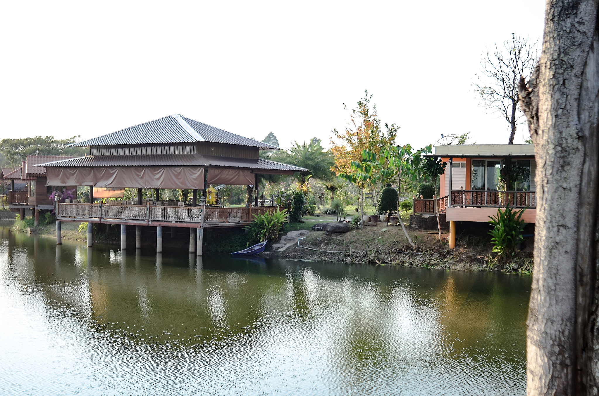 去泰顺自驾旅游 筱村公社边上有吃饭地方吗