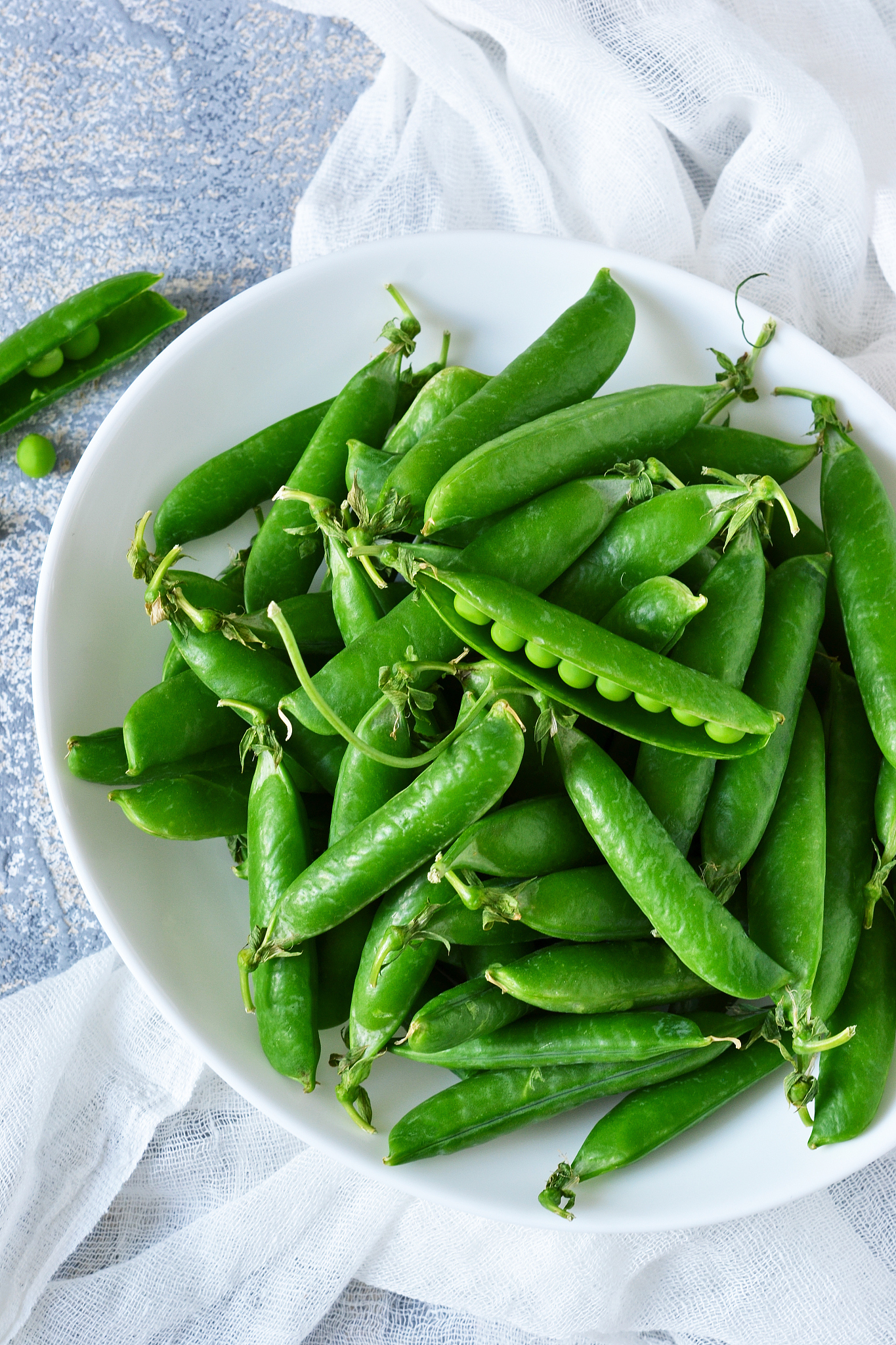 杨凌职业技术学院食品生物技术专业前景分析：就业、发展方向与未来趋势