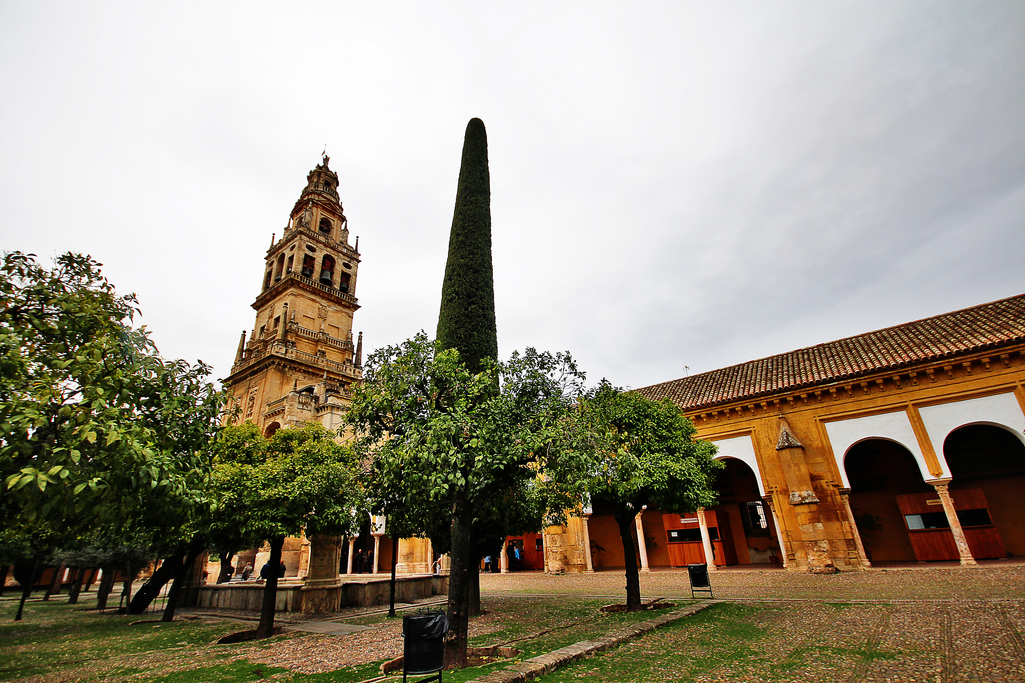 bell tower from court of oranges in mosque–cathedral of cordoba