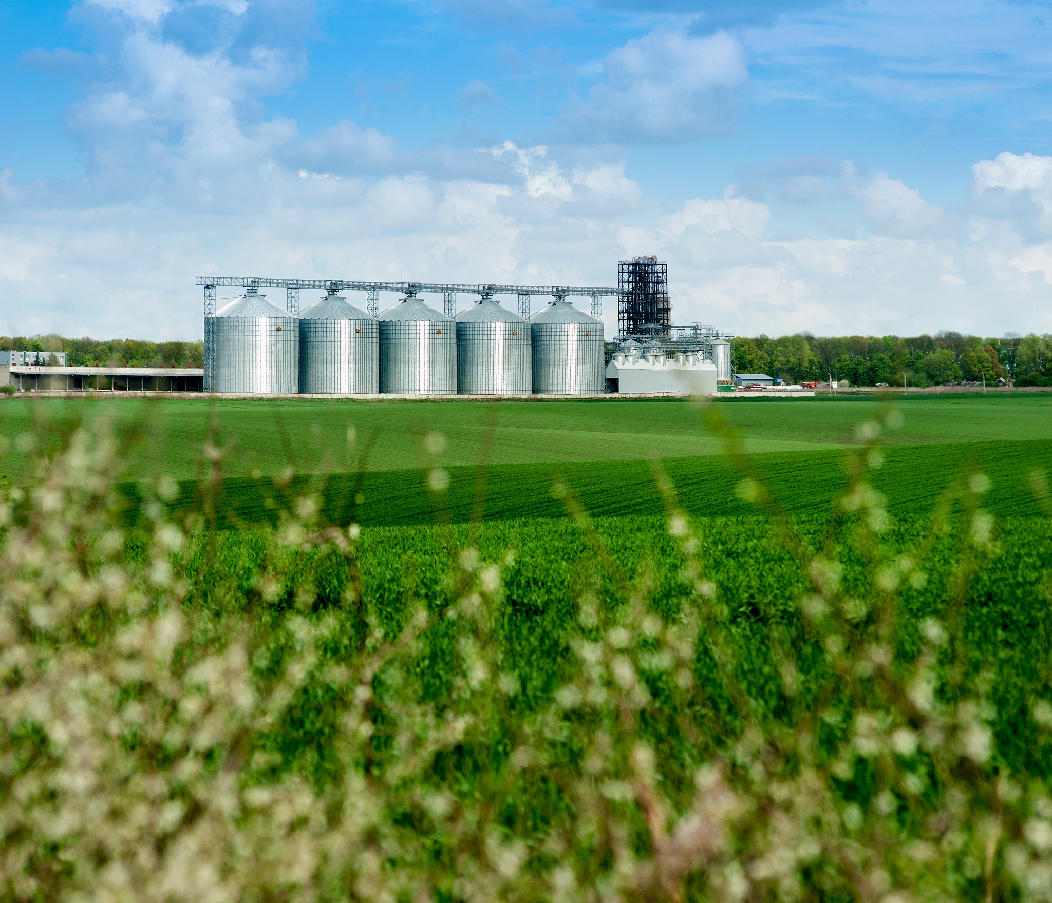 农牧业是什么意思_词语农牧业的意思