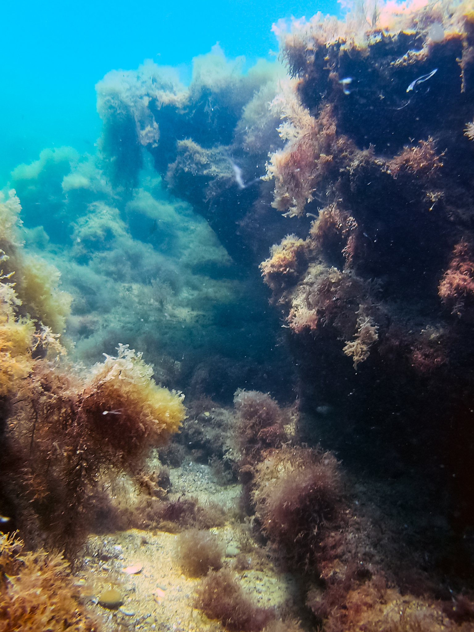 the nature of the seabed