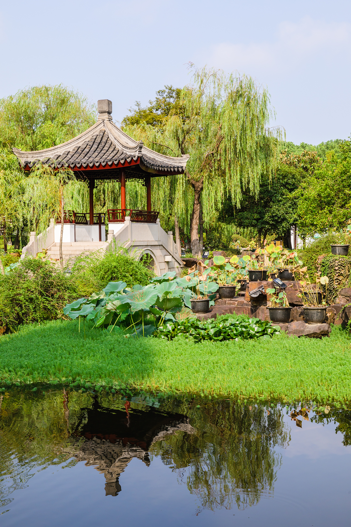 请把车辇停庭和南街草堂融合在一起