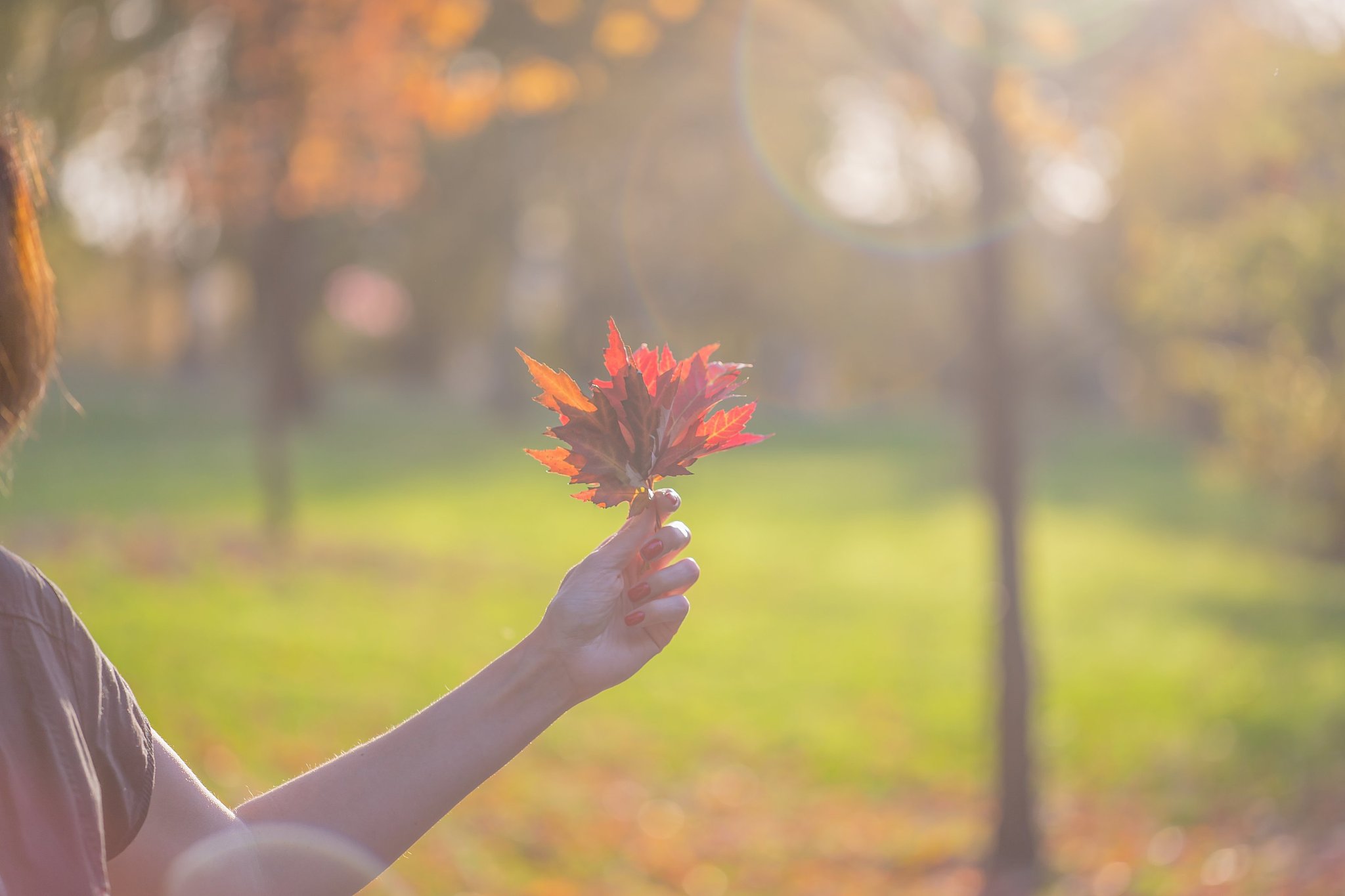 温暖的秋天，明亮的眼睛：献给你的祝福