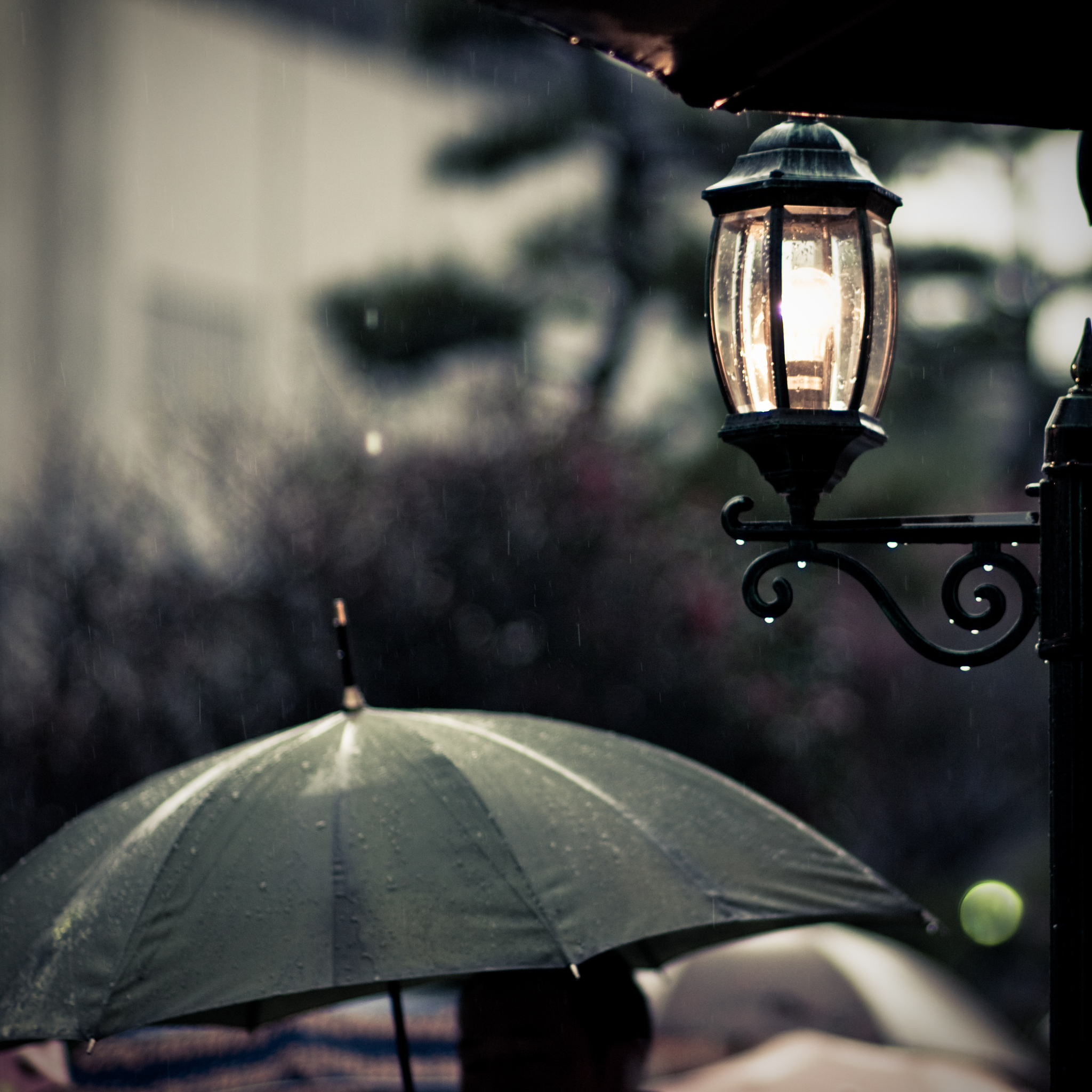 寂寞的雨夜：一个关于失去和悔恨的故事