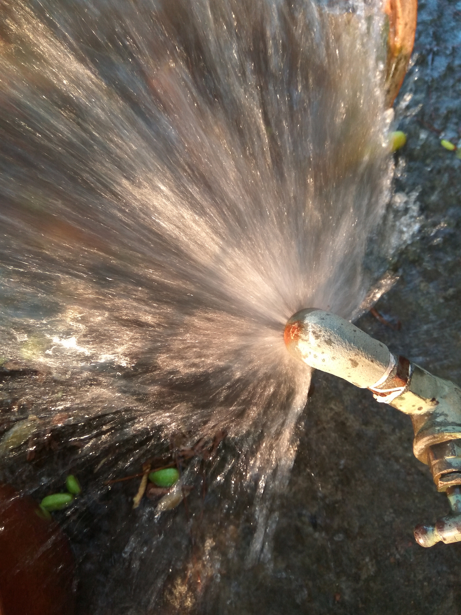 恐龙怎么灭绝的