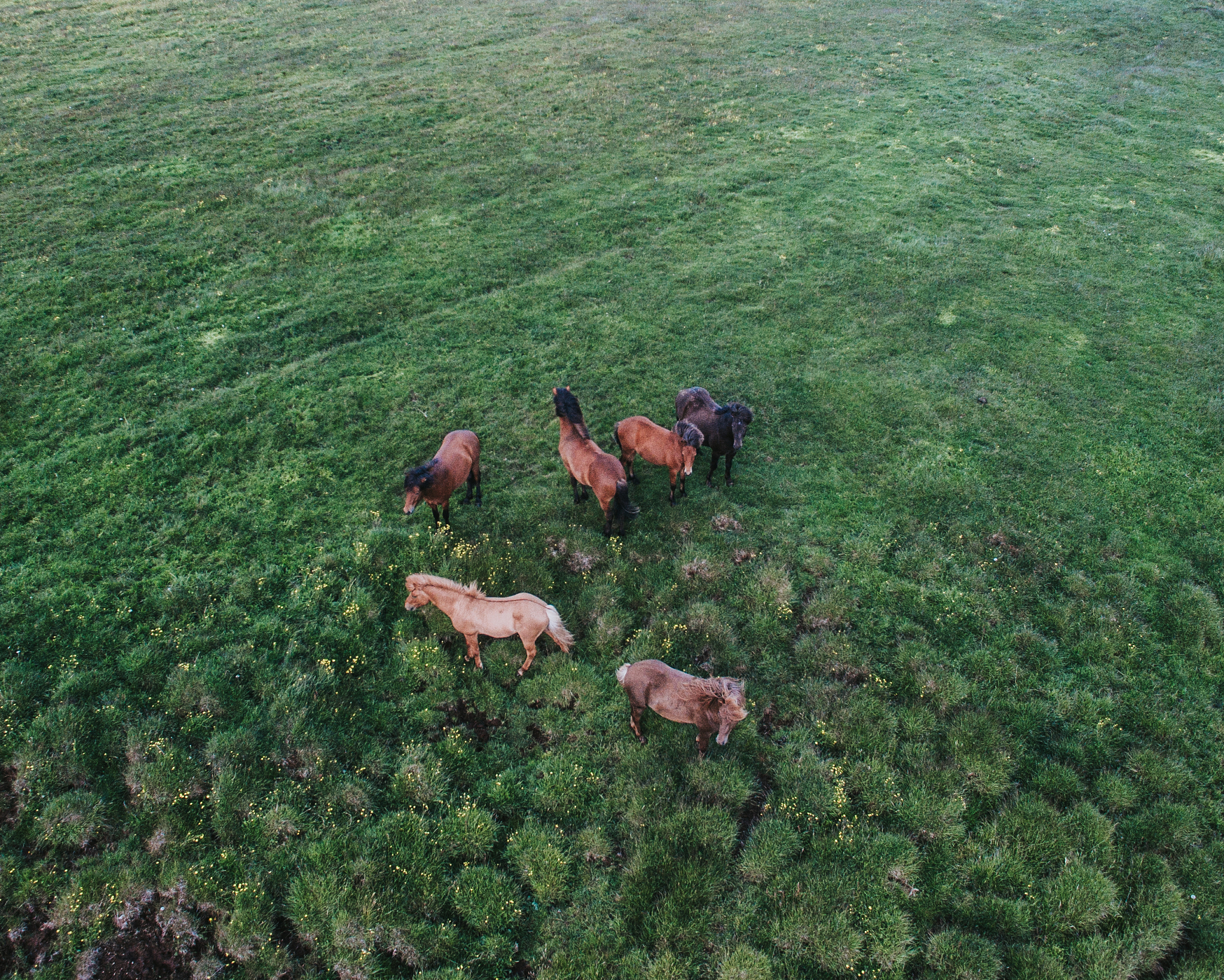 无人机红外热成像应用：从搜救到农业监测