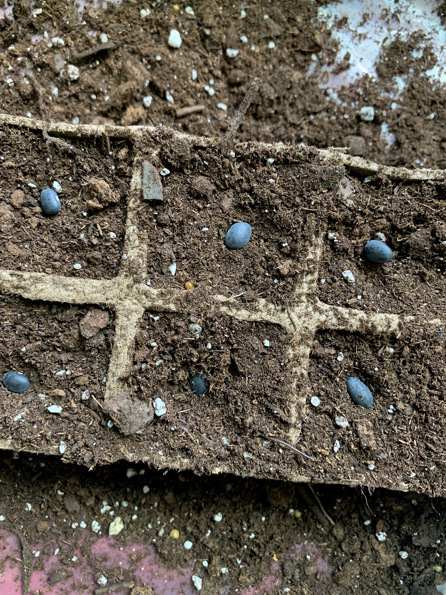 土壤磷固定机制：磷与铁氧化物表面沉淀