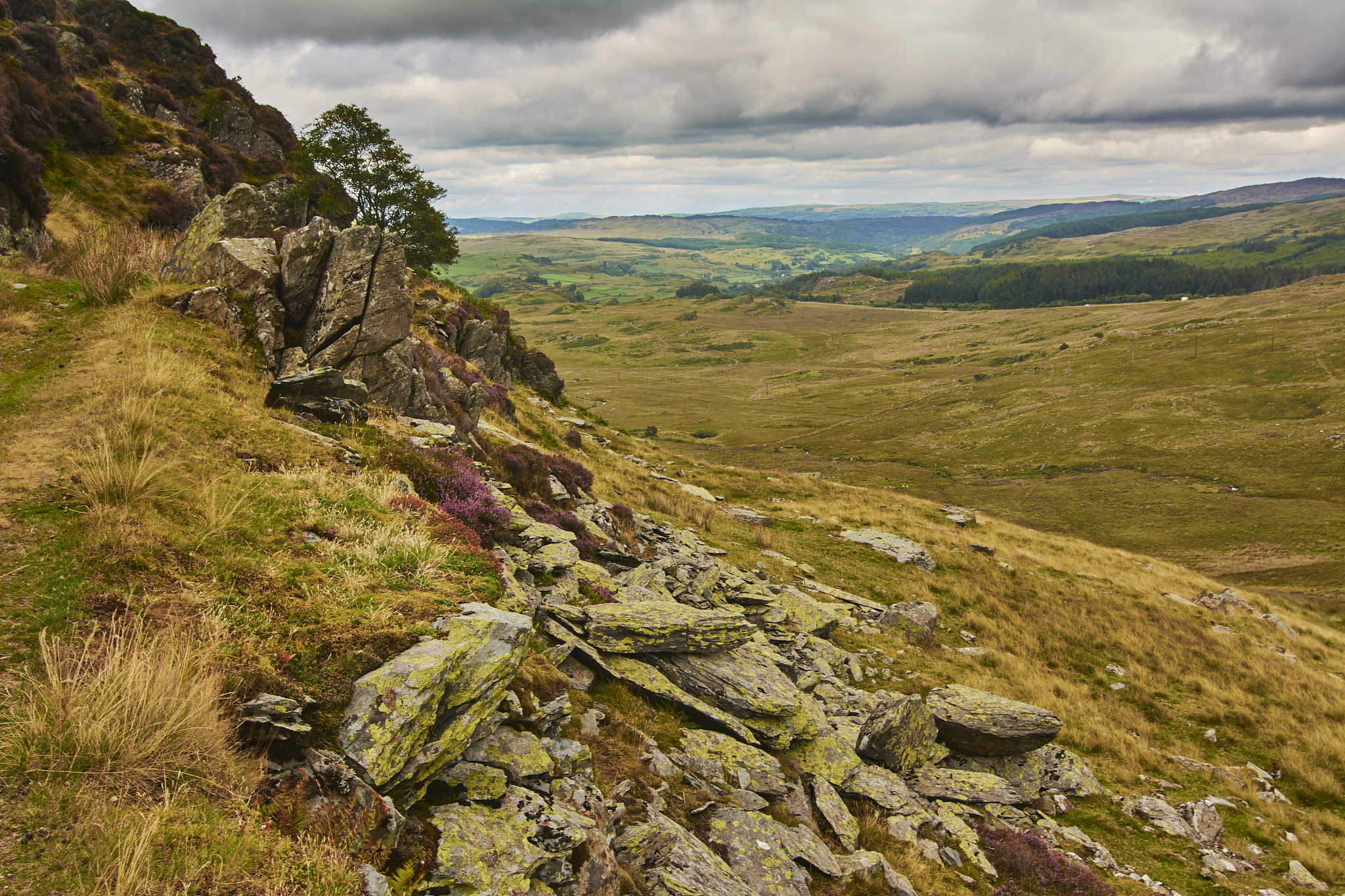 润色一下 弗拉米尼是一位极限运动员和登山家她有着非凡的勇气和坚韧的意志。她曾在世界各地挑战过最高的山峰和最危险的极限运动但这一次她选择在一个深达70米的地下洞穴生活500多天。弗拉米尼进入洞穴时已经48岁她要求后援团队不与她联系哪怕亲人去世也是。她想要在完全与外界隔绝的环境下挑战自己的极限探索人类的潜力。在洞穴里弗拉米尼面临着极度的孤独和压力但她并没有放弃。她每天坚持锻炼身体、画画、织帽子、读书。