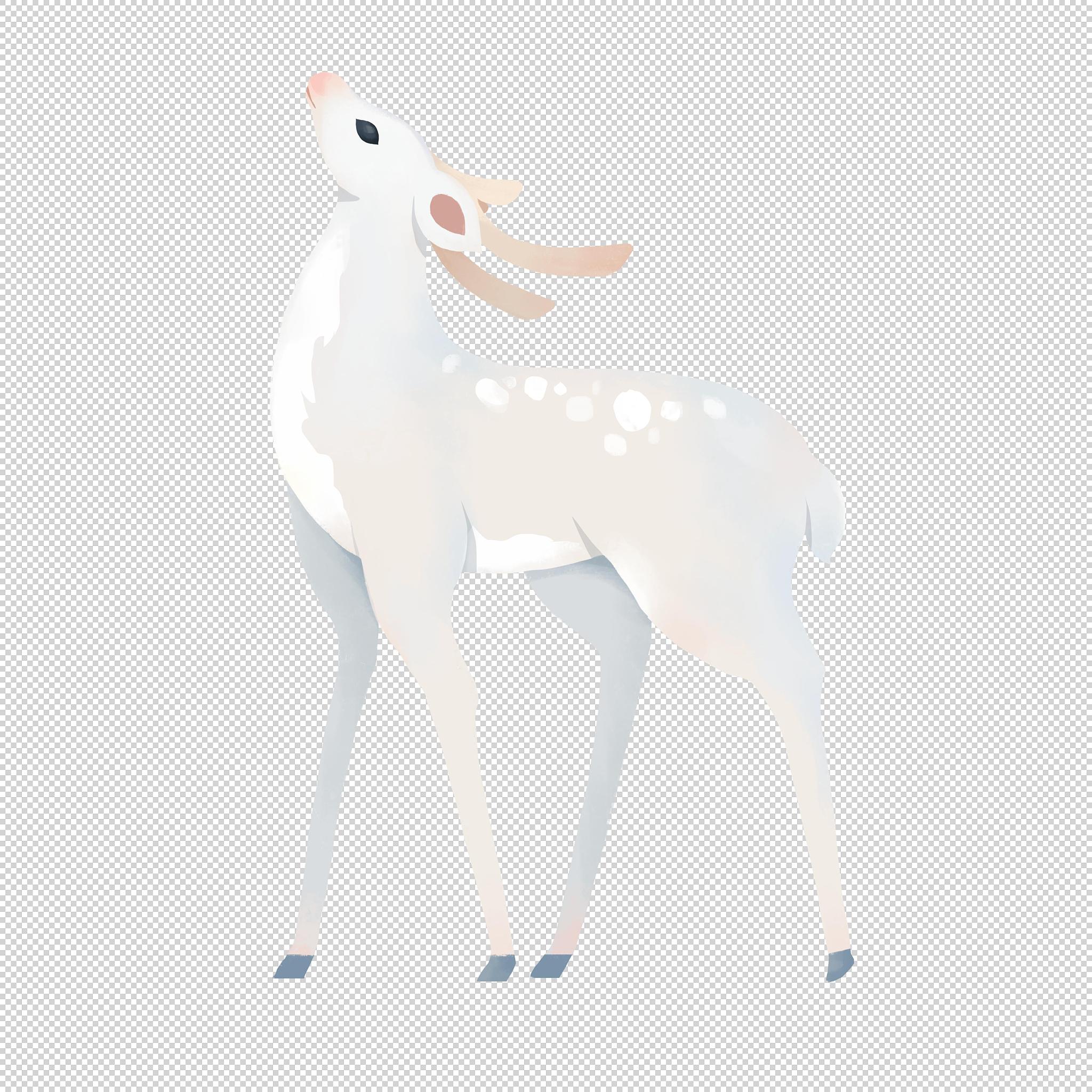 灵埙少年：17岁少年的温馨奇遇