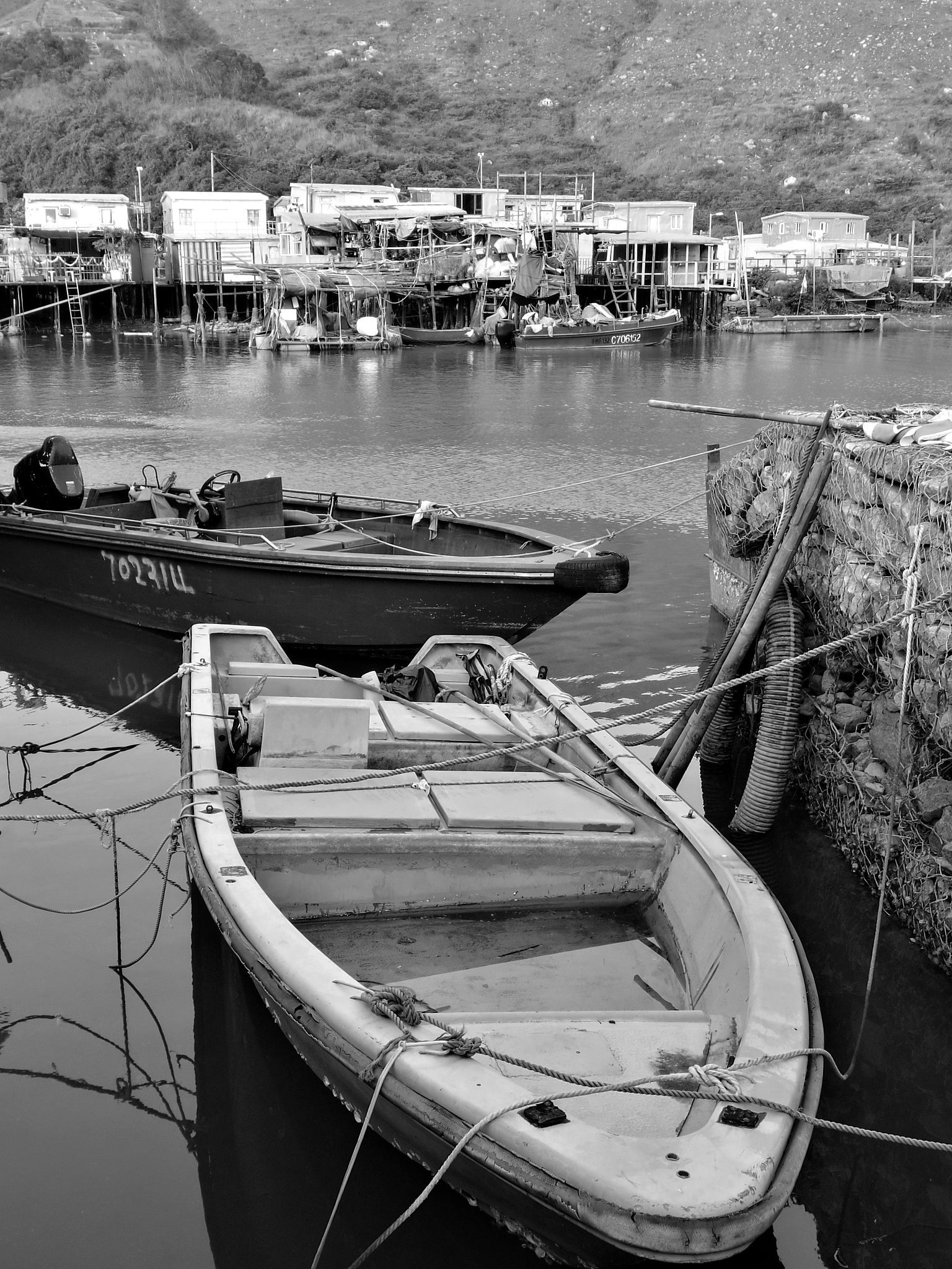 广西交通职业技术学院港口与航运管理专业课程设置详解