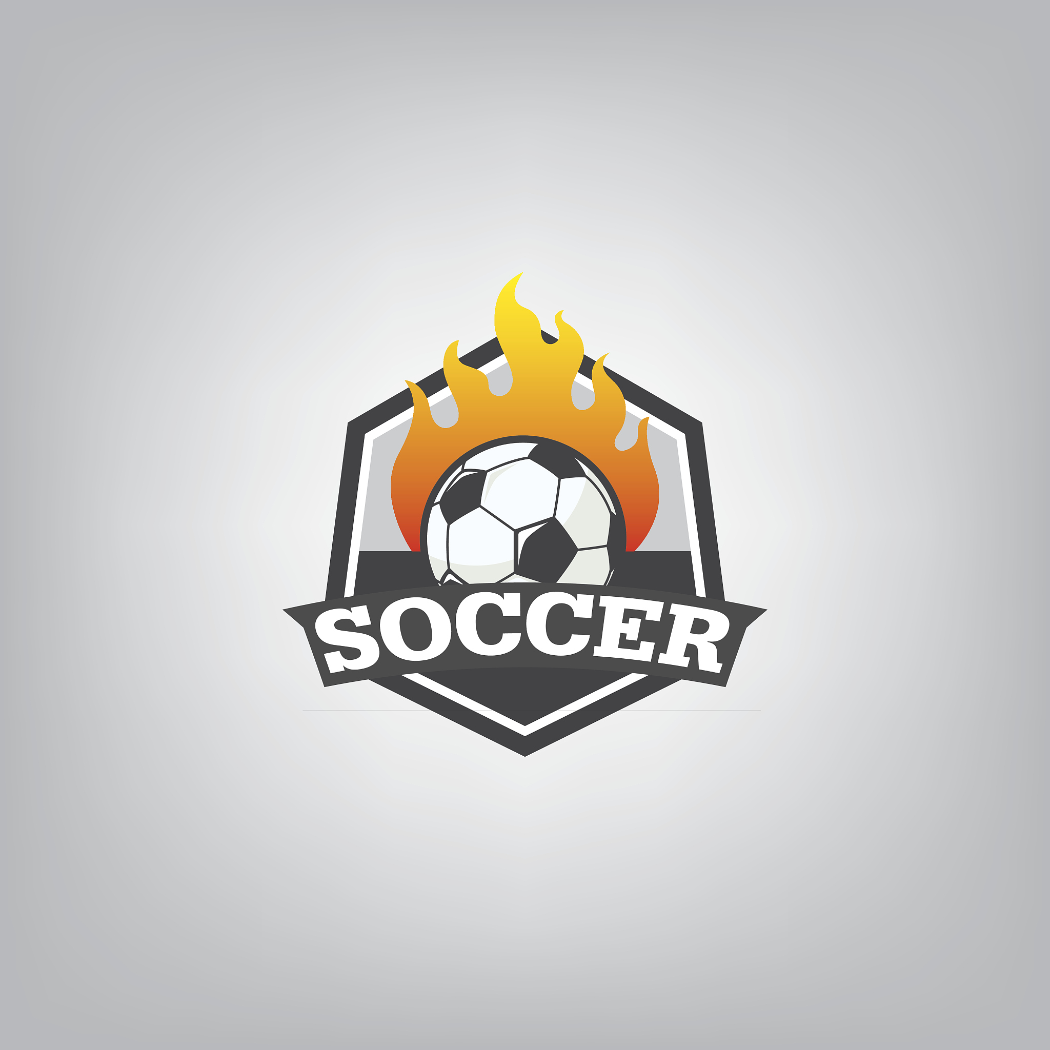 soccer logo emblem design,vector illustration