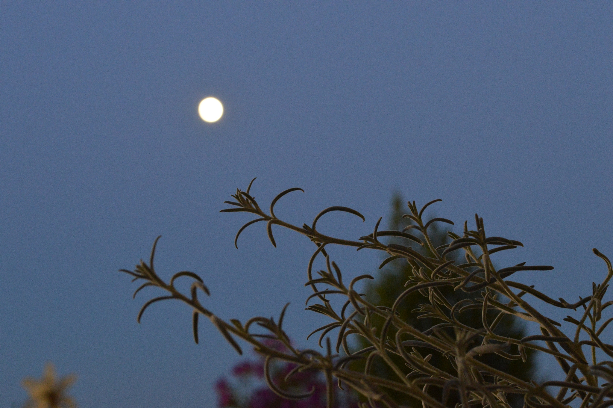 柳暗花明 春江花月夜 乍暖还寒 凄凄惨惨戚戚