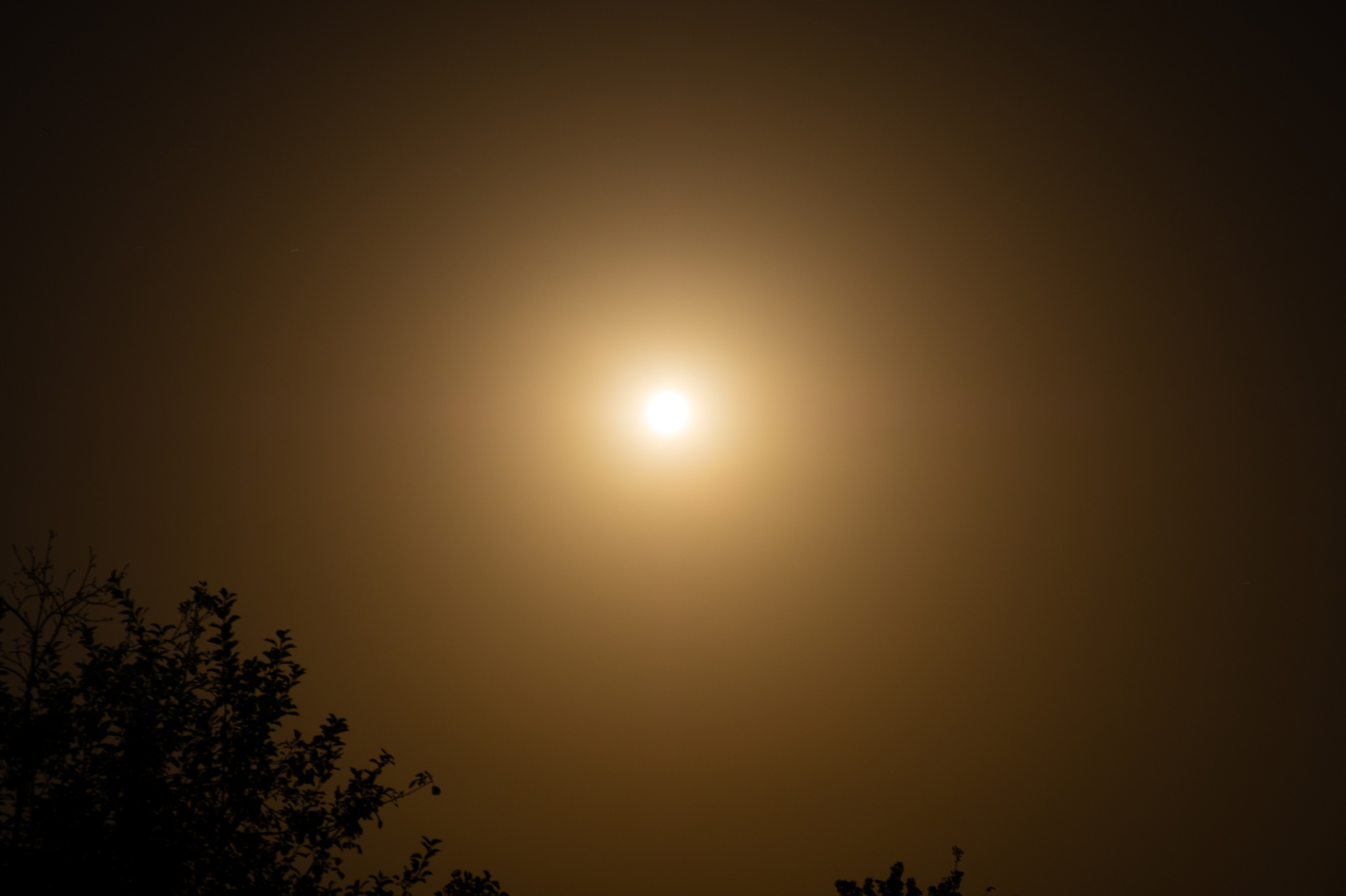 full moon, moon light, night sky view