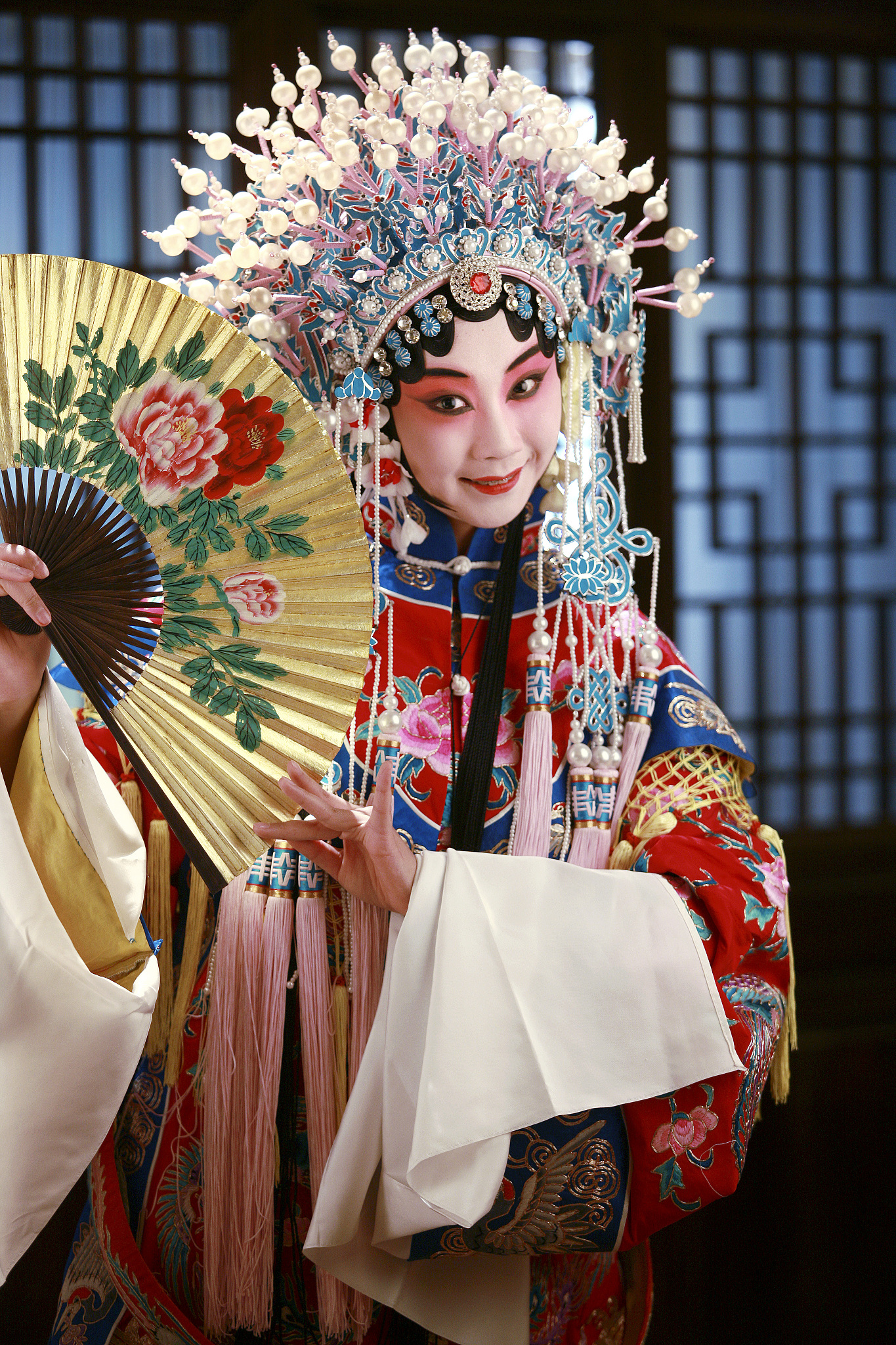 贵妃