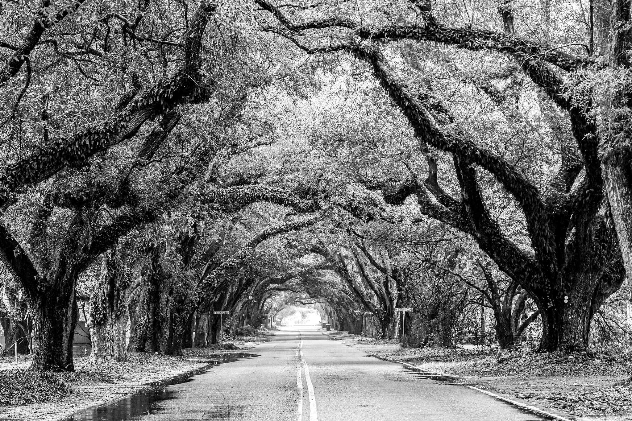 界首市颍南街道区位生态保护规划：守护自然资源，构建美好家园