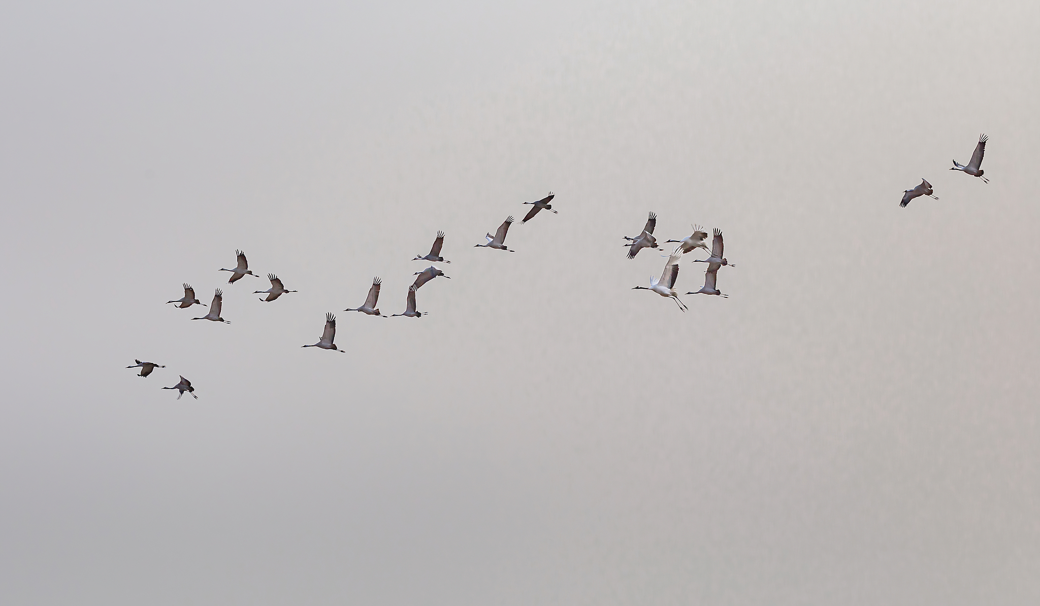 盐城市媒体曝光求助热线电话是多少？老百姓有困难怎么办？回答必须在1000字左右的文章