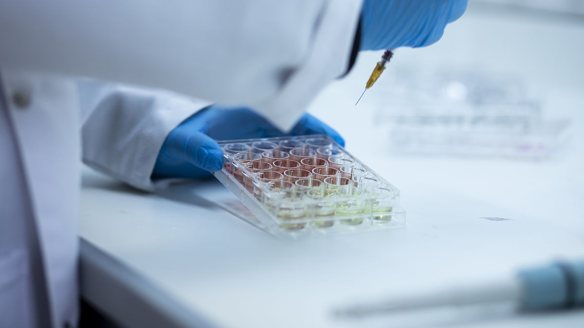 寻找完整试管婴儿服务：卵子捐赠、PGS筛查、代孕等