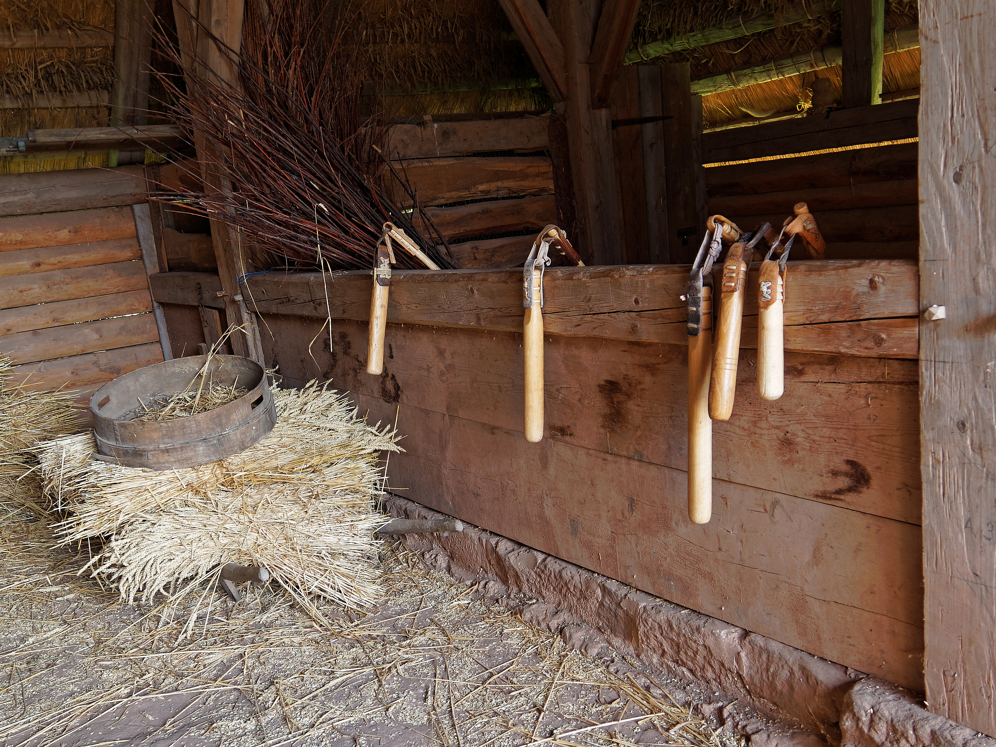 古代谷物储存和加工：历史视角