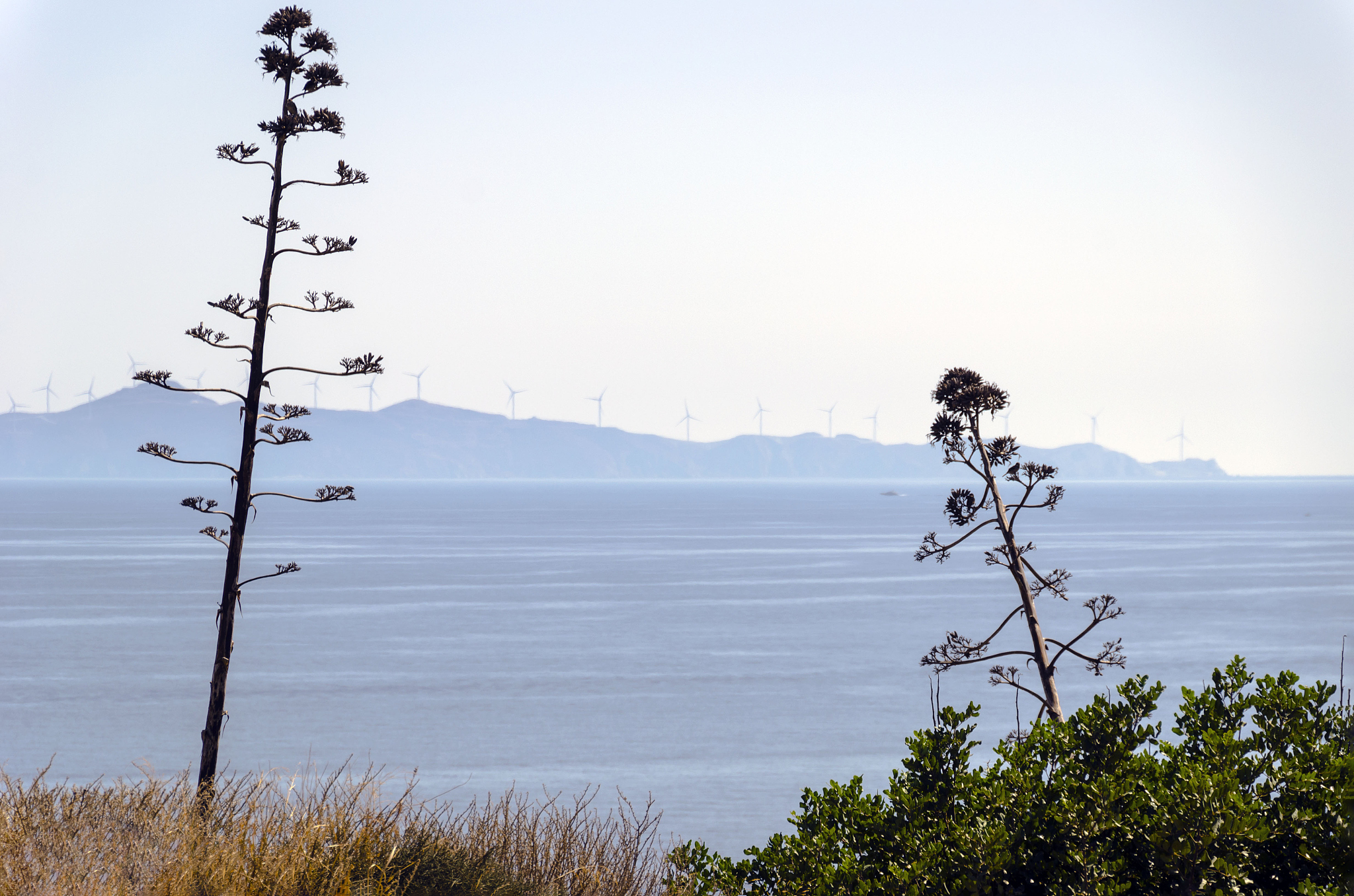 摄影摄像技术要学习哪些课程