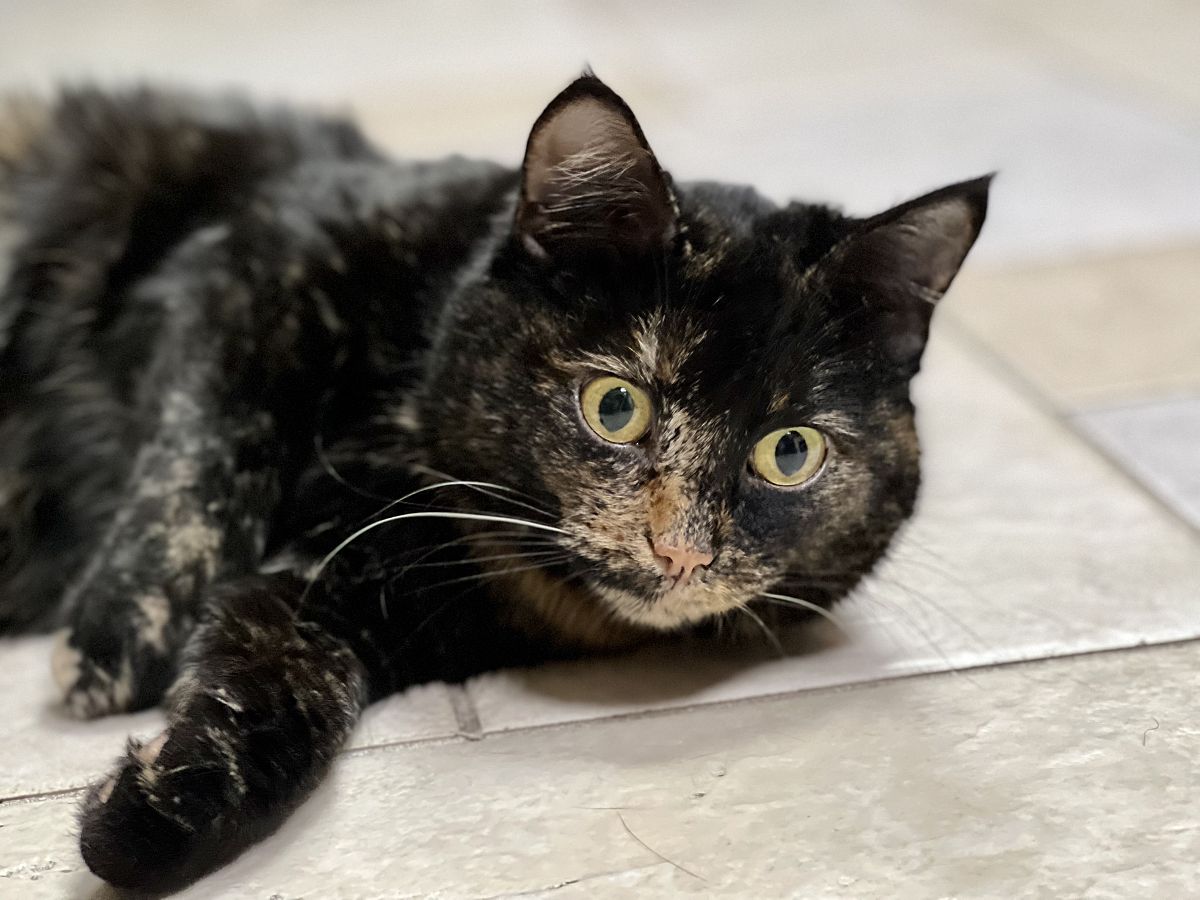 韶关学院学校好不好用发散性思