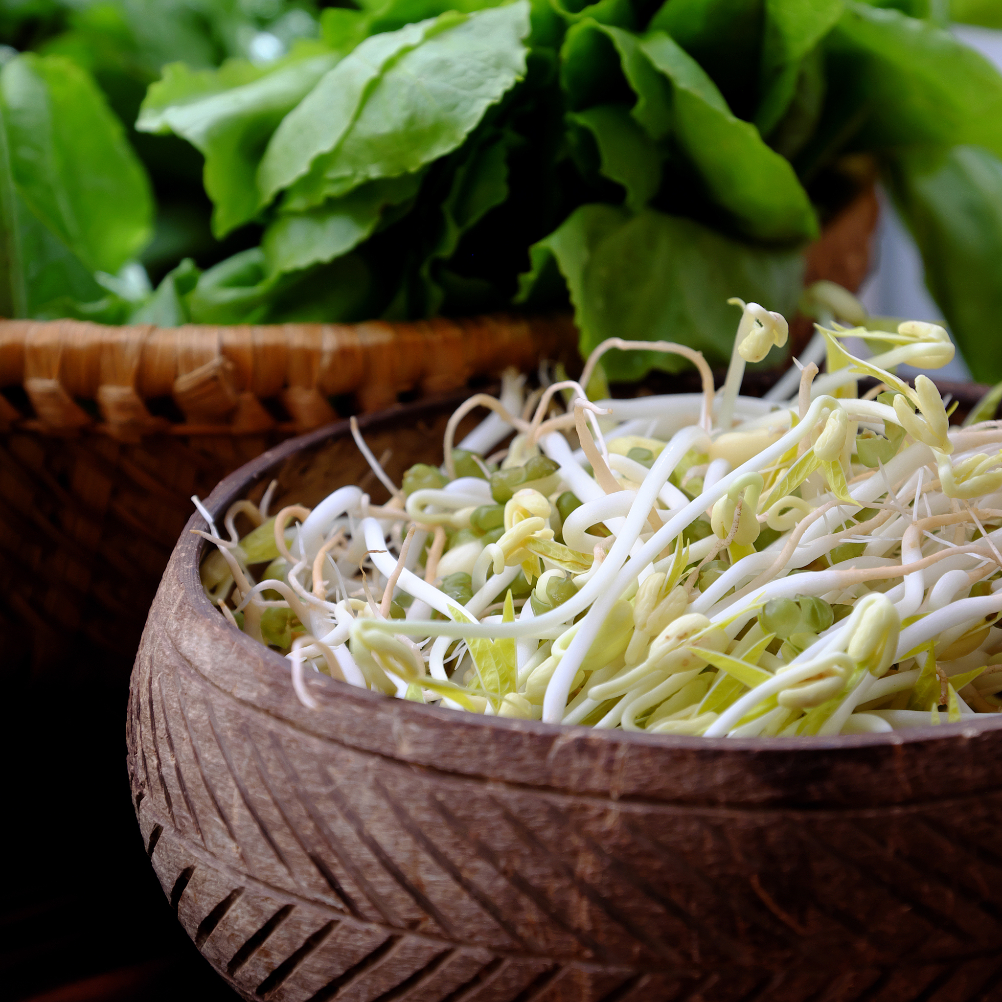 凉拌黄豆芽制作教案