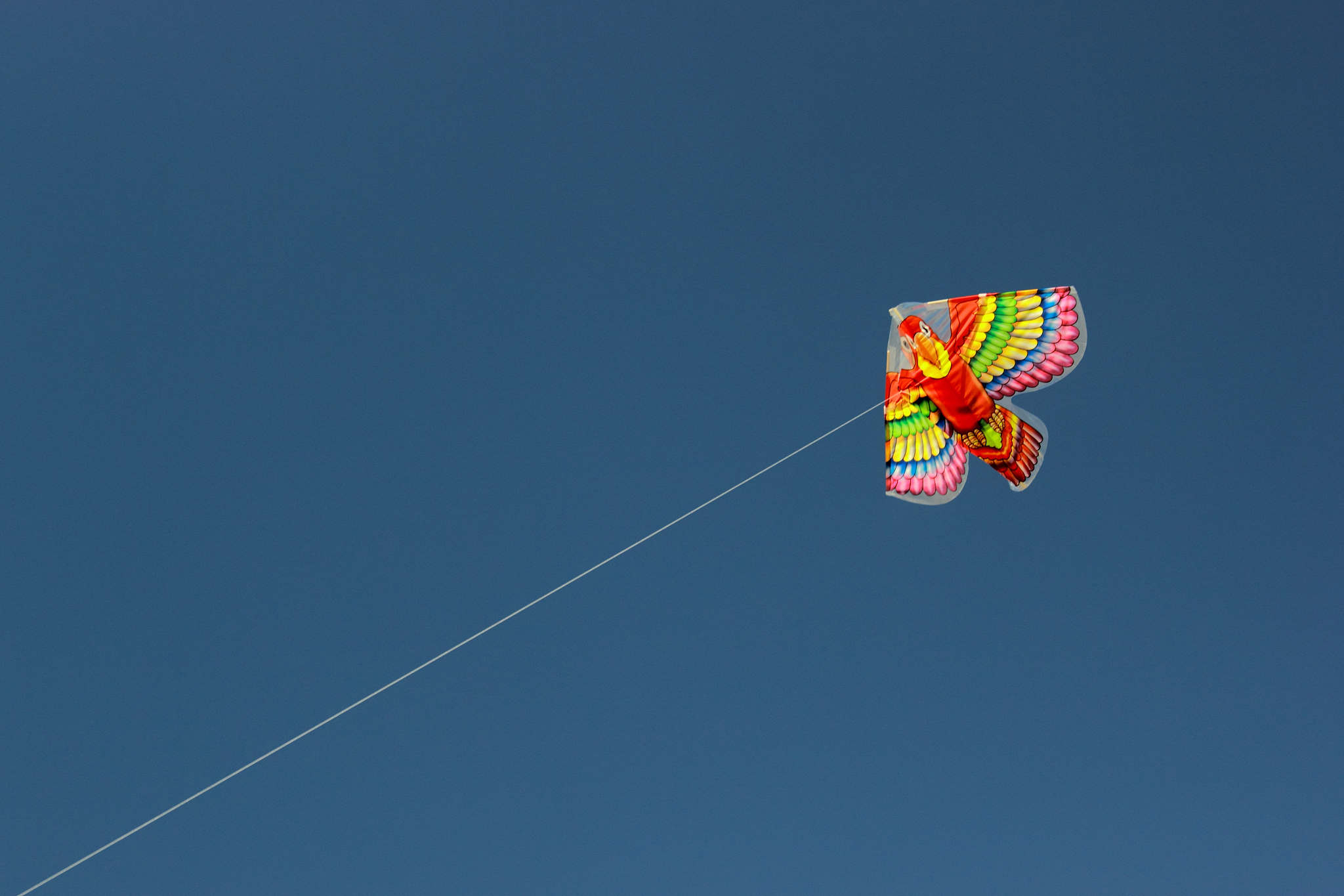 flying a kite on the beach