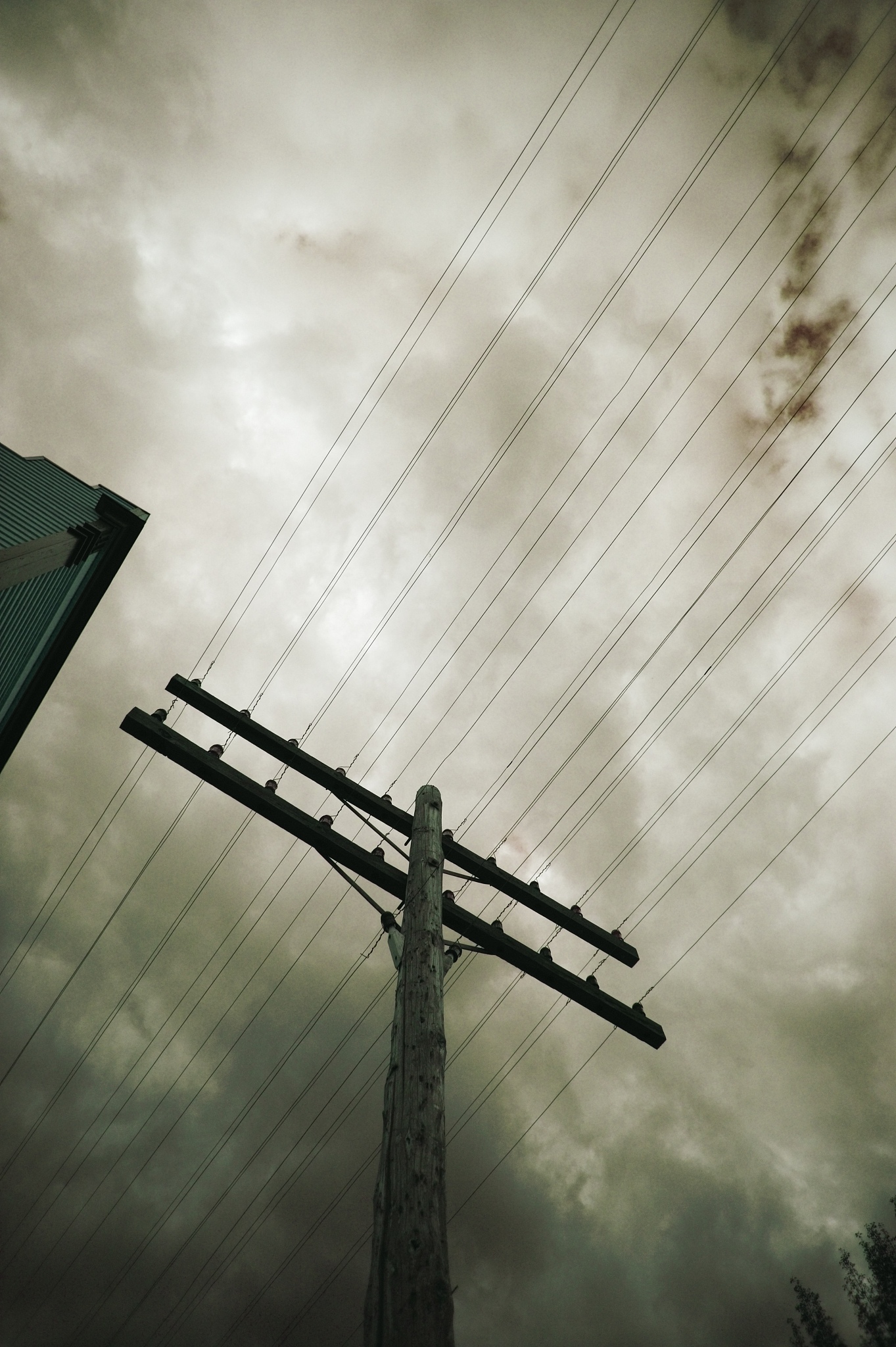 telegraph wires