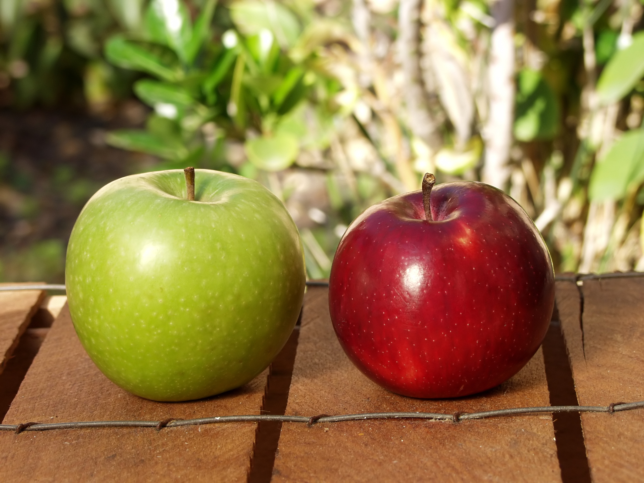 apples on the wood box
