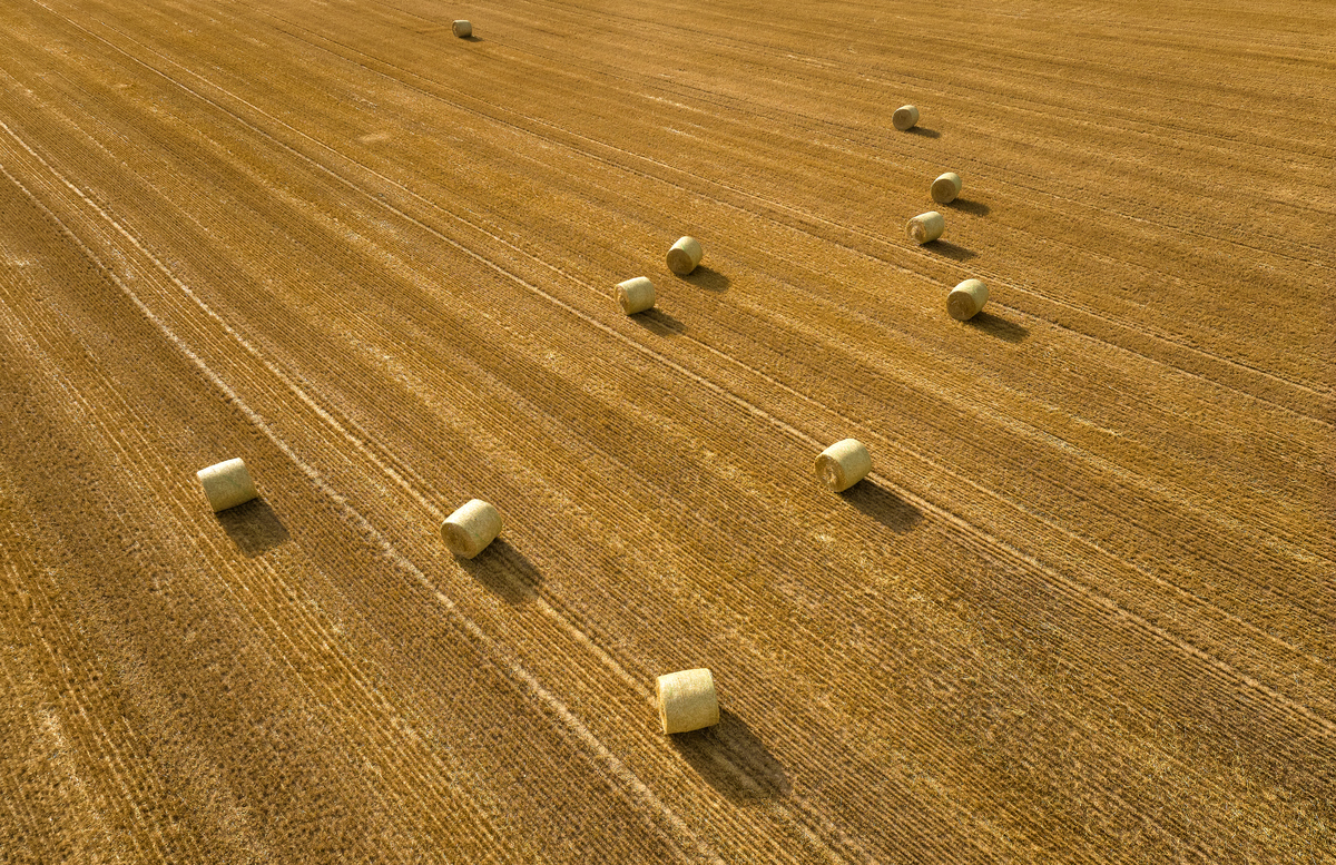 修改以下段落要求语言精炼简洁 环县地处甘肃东段庆阳市西北部全县共辖20个乡镇251个行政村总面积9236 km2境内海拔1200～2089 m年均降水量400 mm左右年平均日照时间2600 h1-2是典型的雨养农业大县。现有农耕地239万hm2能够栽培的农作物种类很多小麦是主要栽培粮食作物之一常年播种面积33万hm2年总产量75万t近年来60面积采用机械收获3-4。秸秆是小麦收获籽实后的剩余部分